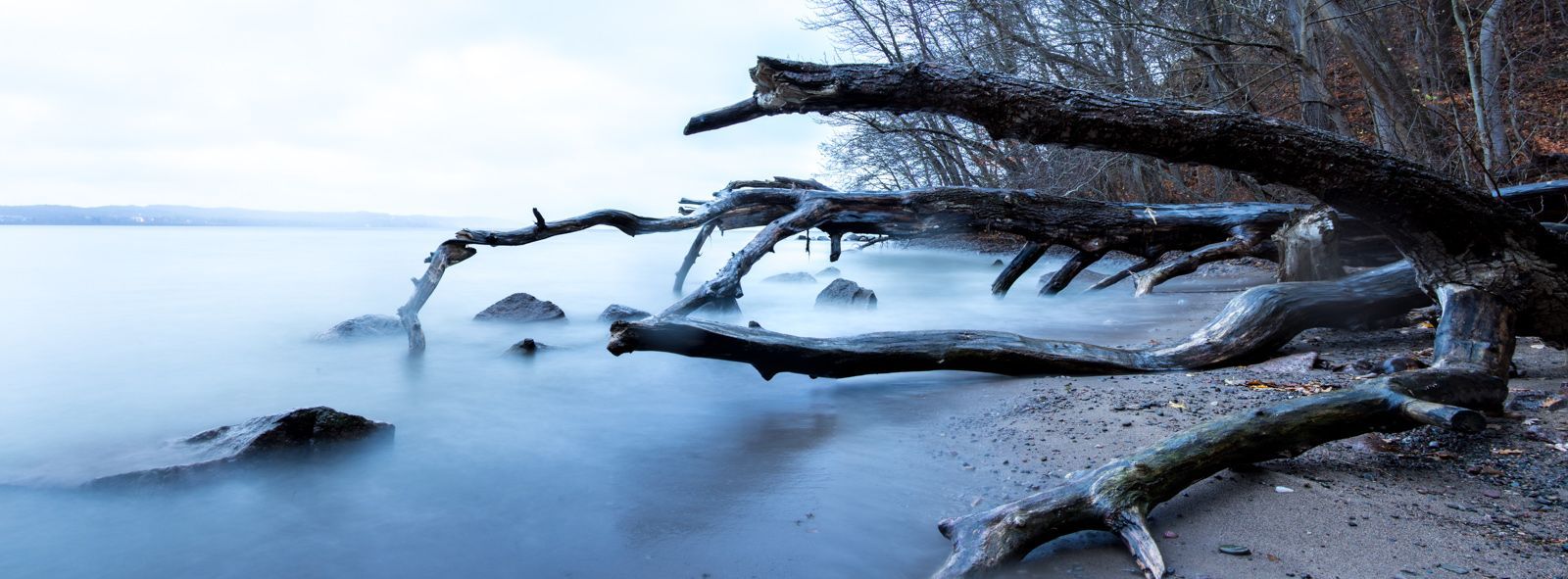 Ett träd som ligger på en strand halvt ute i vattnet. Vattnet slår in mot stranden men den långa exponeringen för vågorna att bli suddiga och ser ut som en dimma.