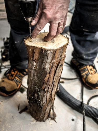 En person borrar i en tjock gren