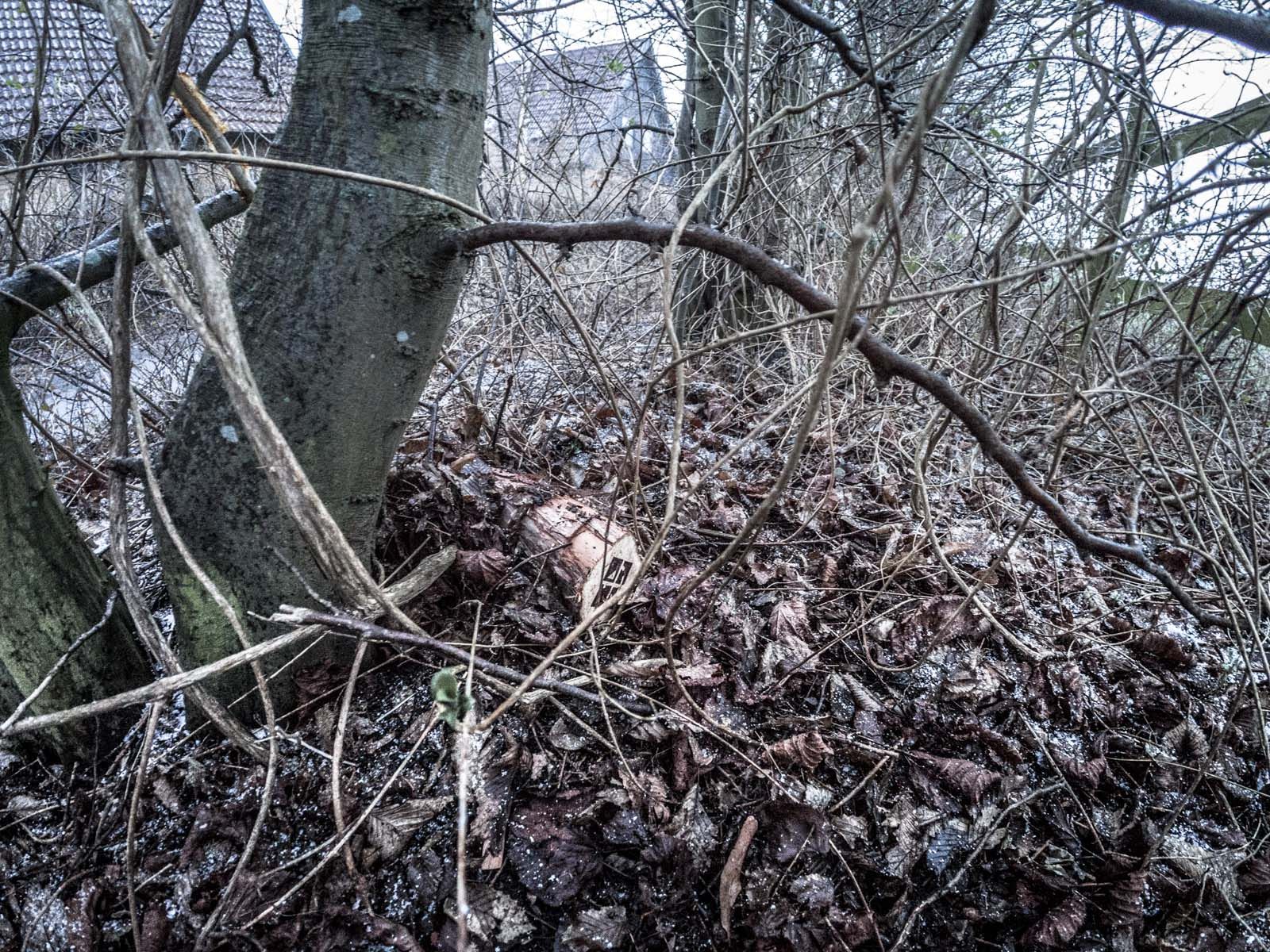En träbit med geocachingsymbol gömd i ett pat buskar under löv