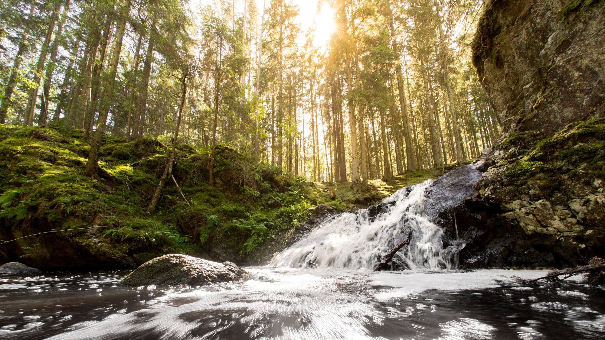 Hassafallet i solsken