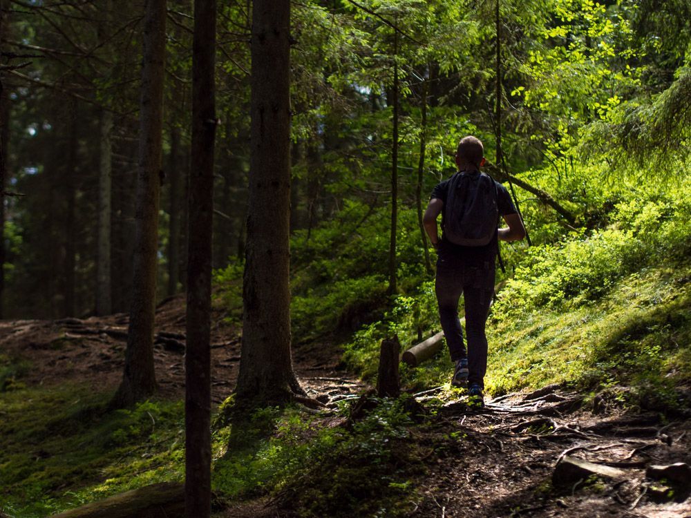 En person på en stig med mycket rötter i skogen.