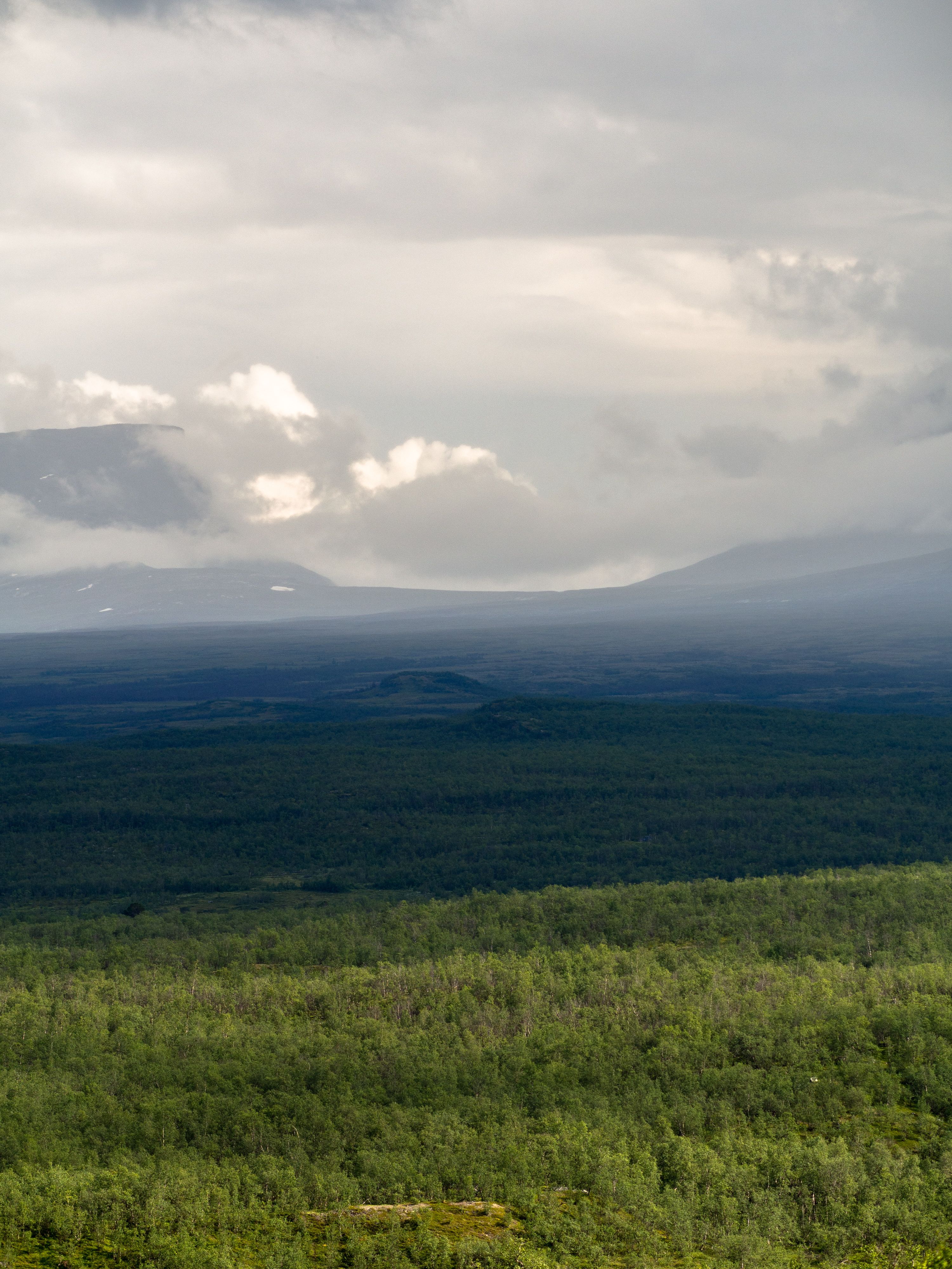Bild på lapporten höljd i moln. Toppen av bilden är grå från alla moln, i mitten av bilden är det en massa skog som är täckt av molnen och regn som ger ett blått sken på det gröna. Längst ner på bilden är det skog i solljus som ger en tredelad bild i grått, blått och grönt.