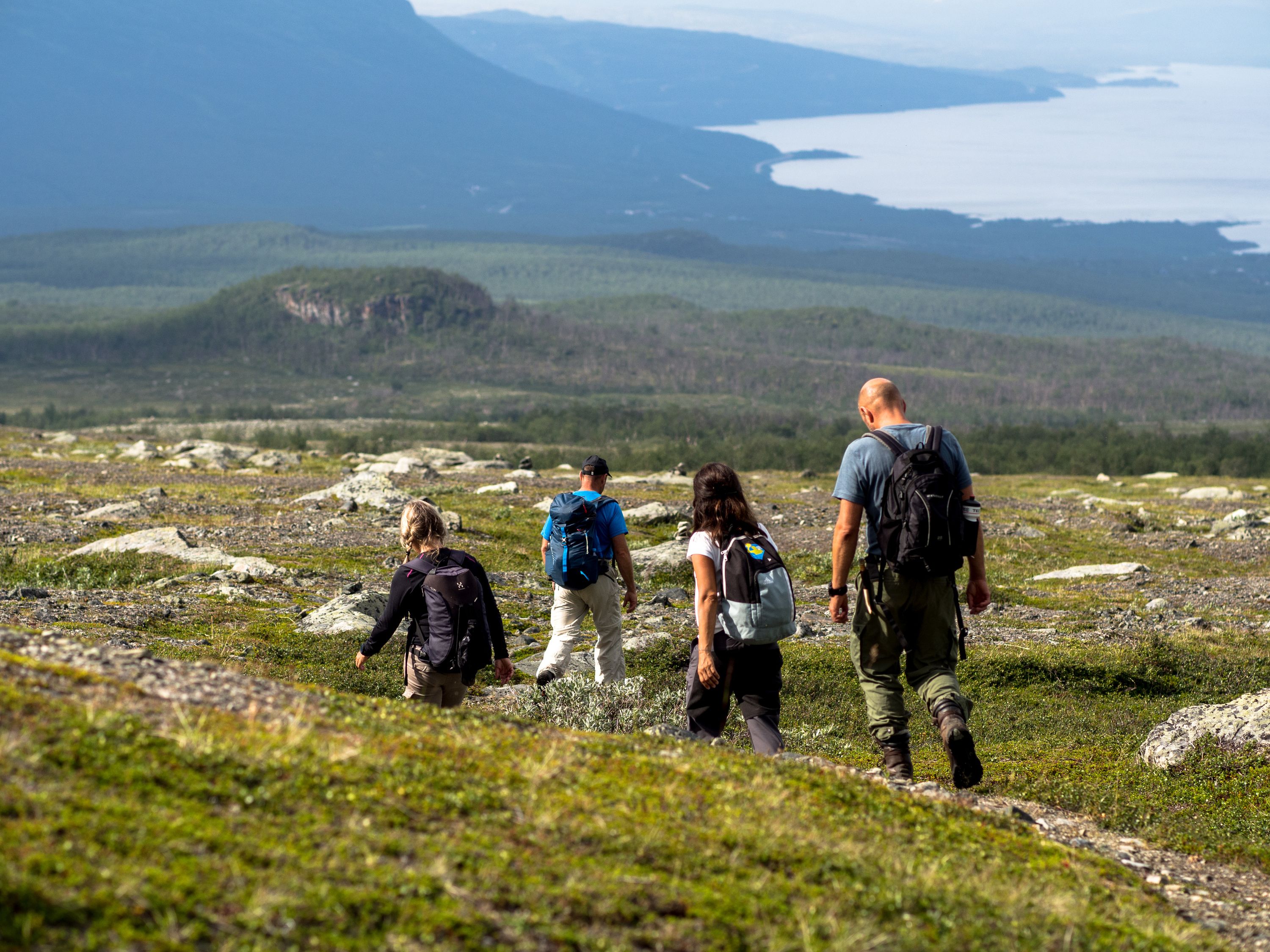 Fyra personer som går på en stig nedför ett kalfjäll. Det är utsikt över Abisko och Torneträsk.