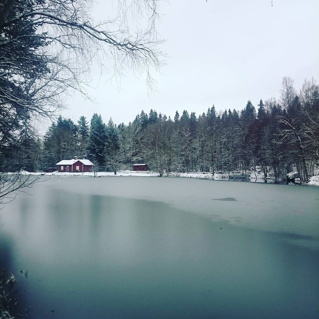 En frusen sjö i en skog