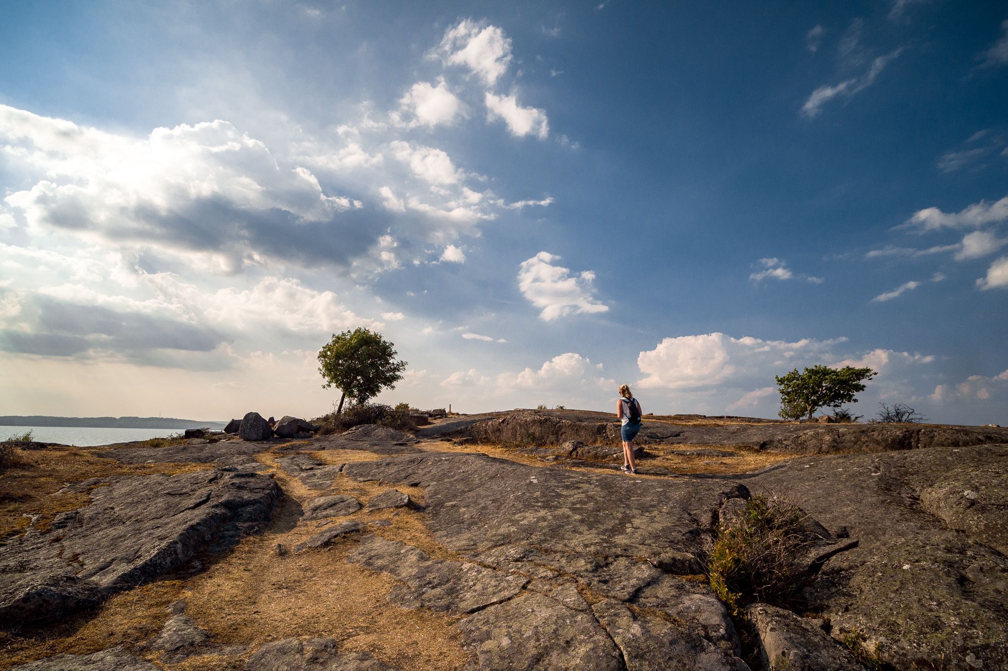 Gräsmark och klipphällar under en blå himmel.