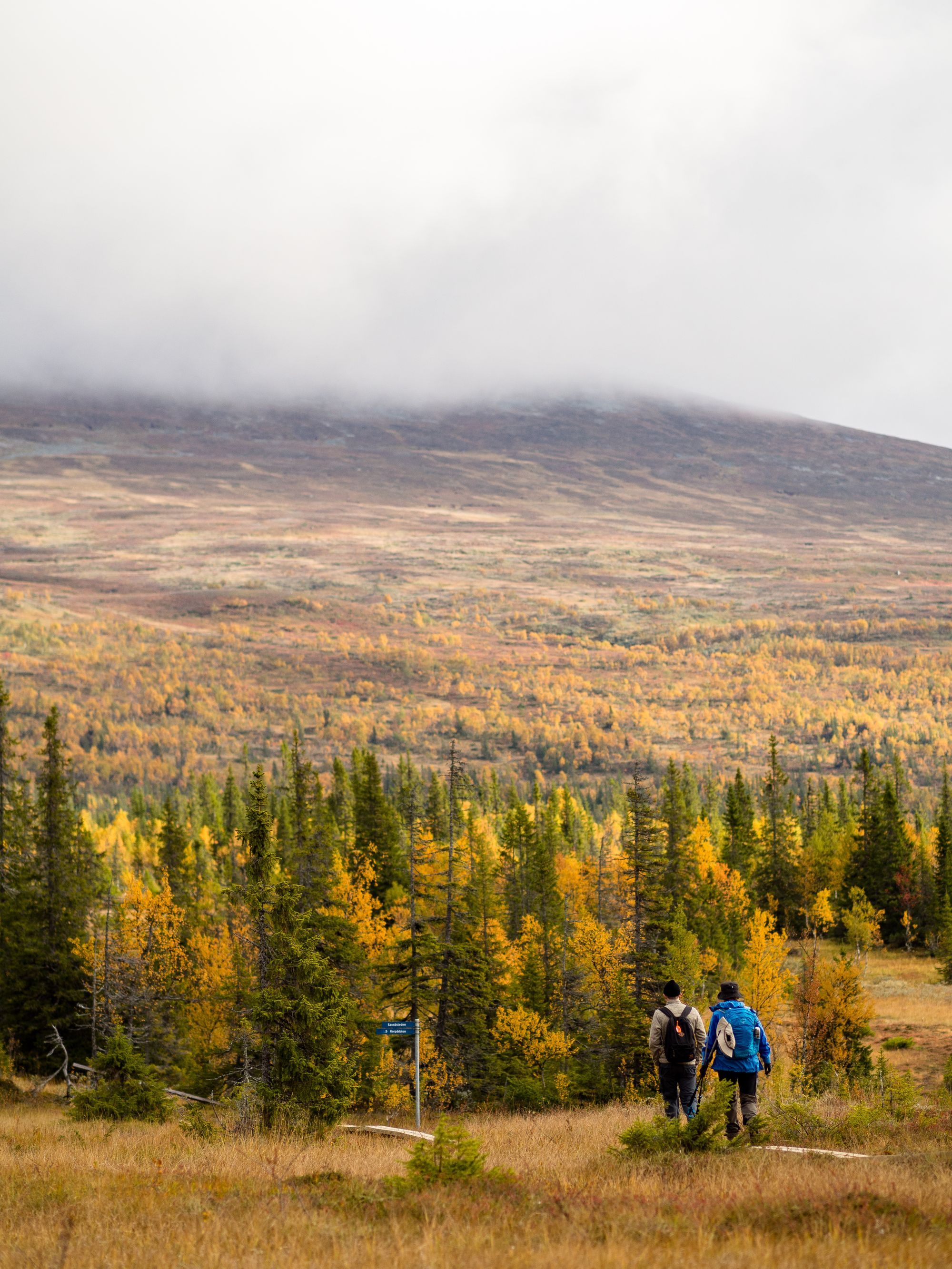 Två personer som går på spångar med Klöverfjället i bakgrunden