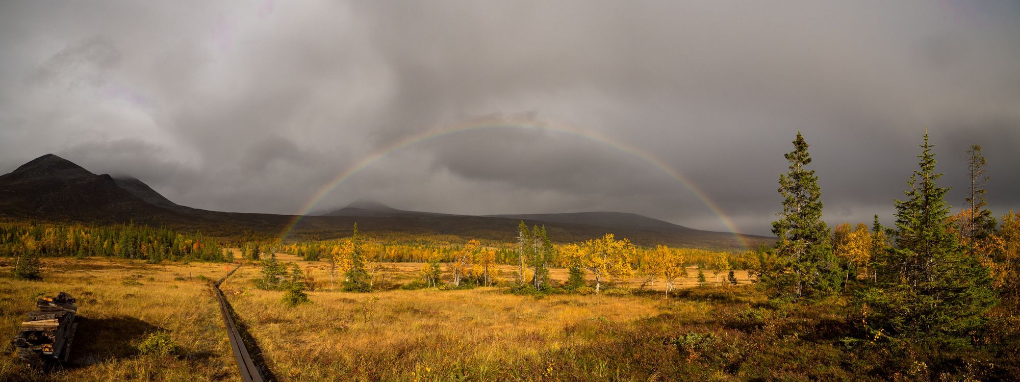 En gräsklätt fält med en spång över. Fältet lyser i solen. I bakgrunden syns Klöverfjället med regnmoln över och en stor regnbåge.