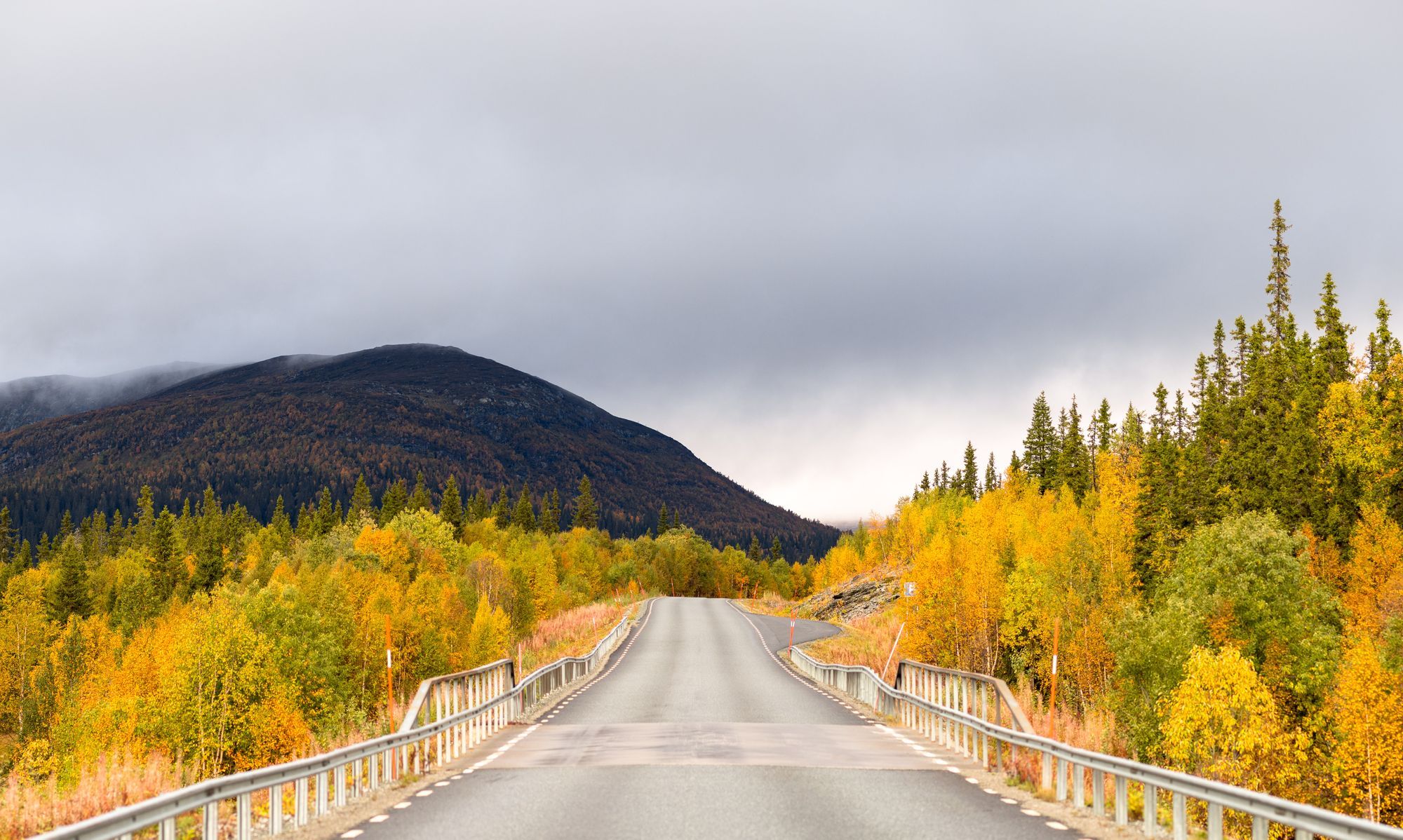 En asfalterad väg i en skog med höstfärger, i bakgrunden syns ett berg täckt av moln.