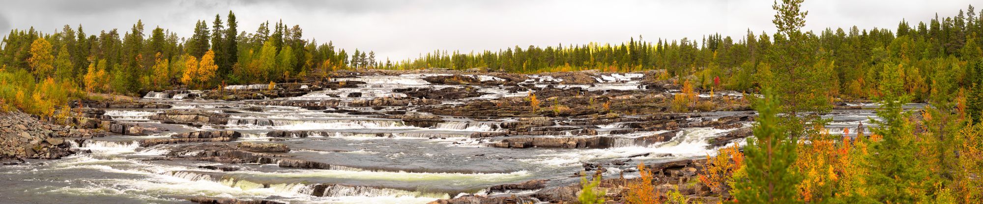 En panoramavy över Trappstegsforsen med skog i höstfärger runt om.