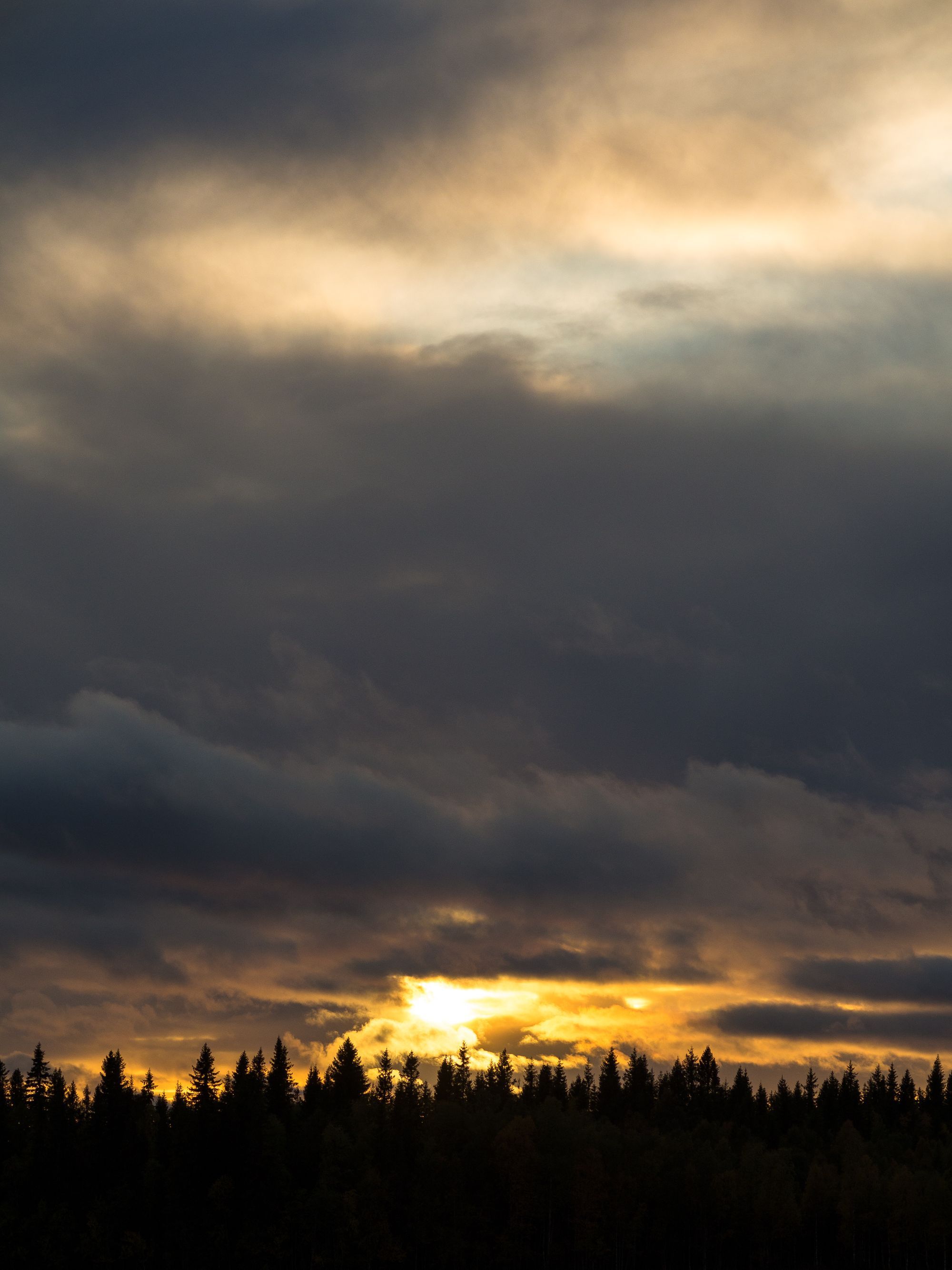En molnig himmel med en sol som försöker spricka igenom molntäcket. Trädtoppar bilder en siluett mot himlen.