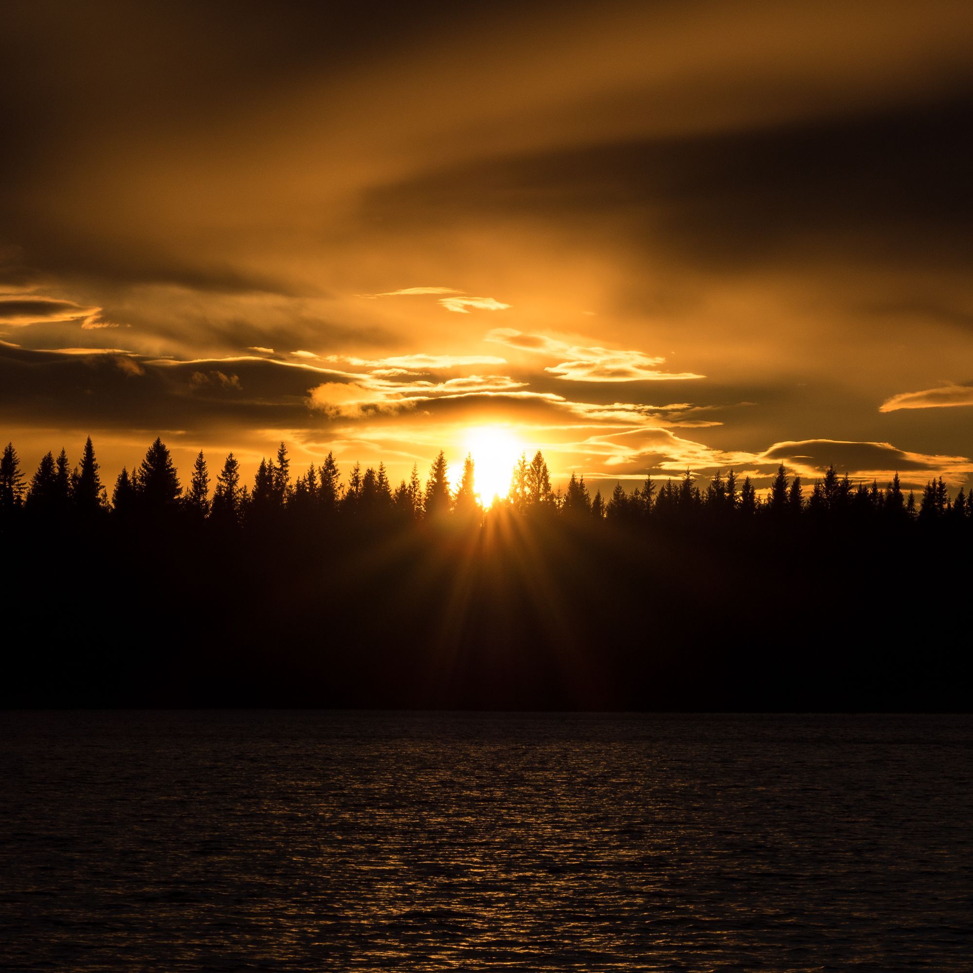 Solnedgång över trädtopparna.