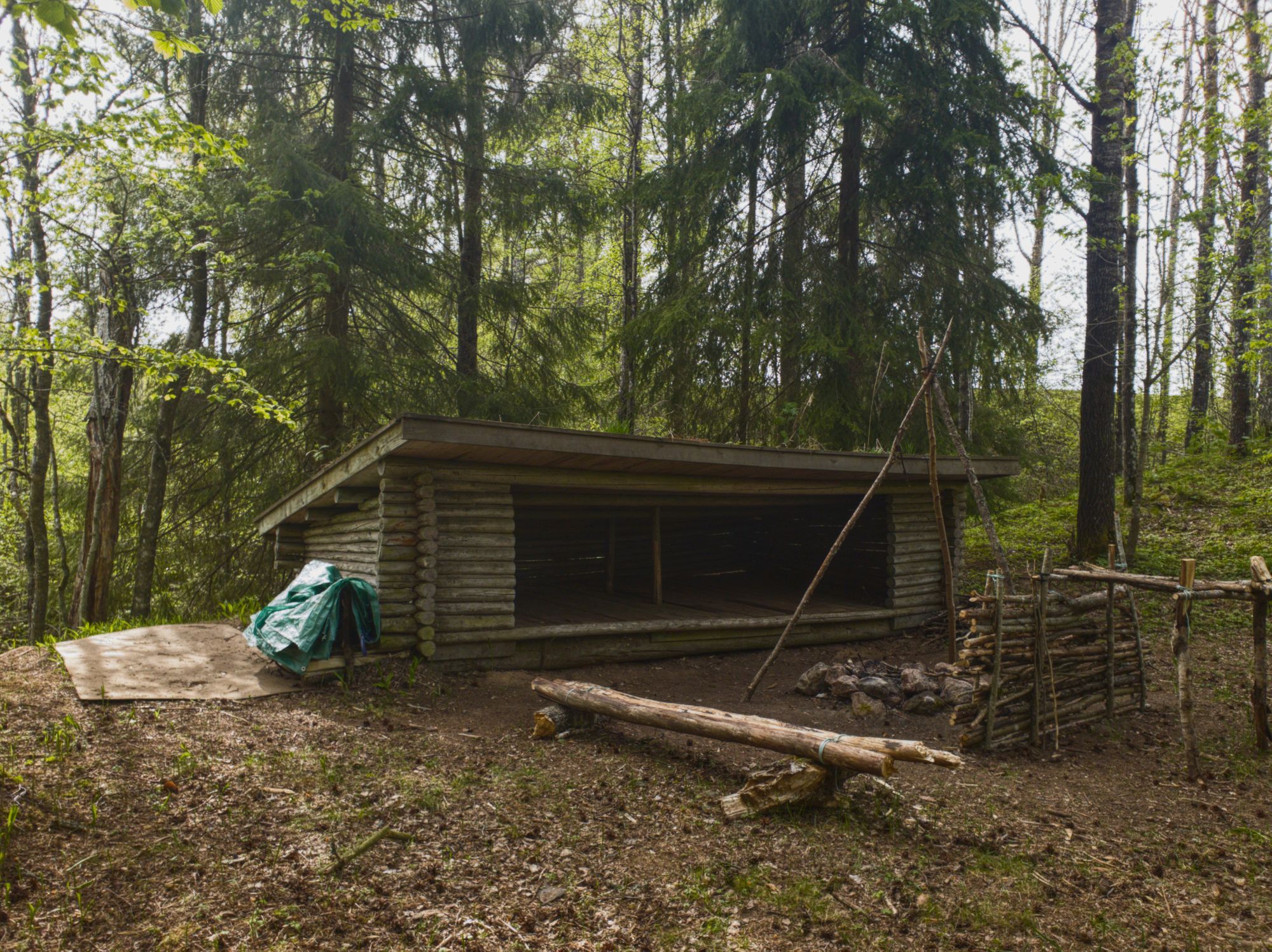 Ett vindskydd i en skog.