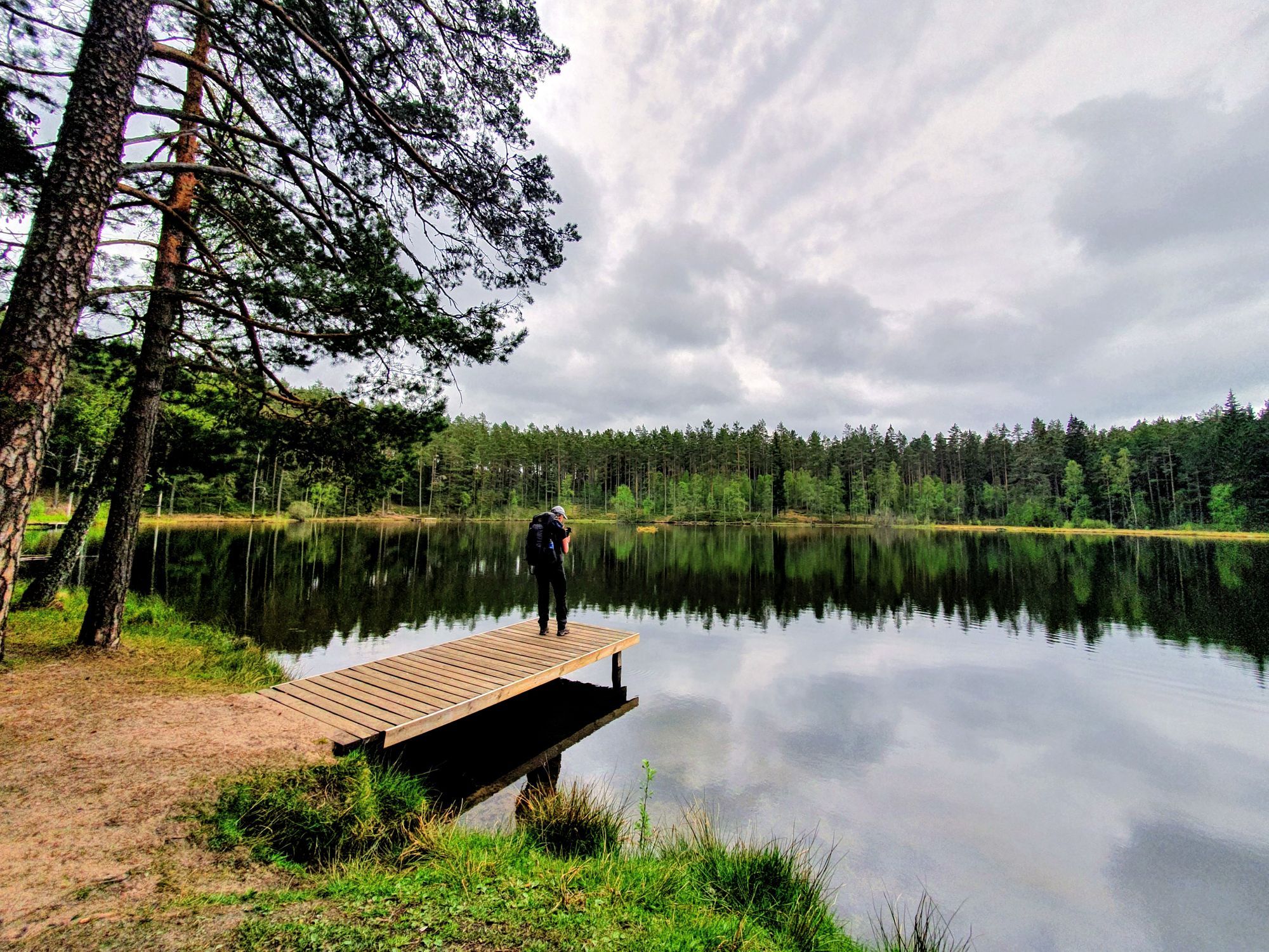 En person som står på en brygga vid en sjö i skogen