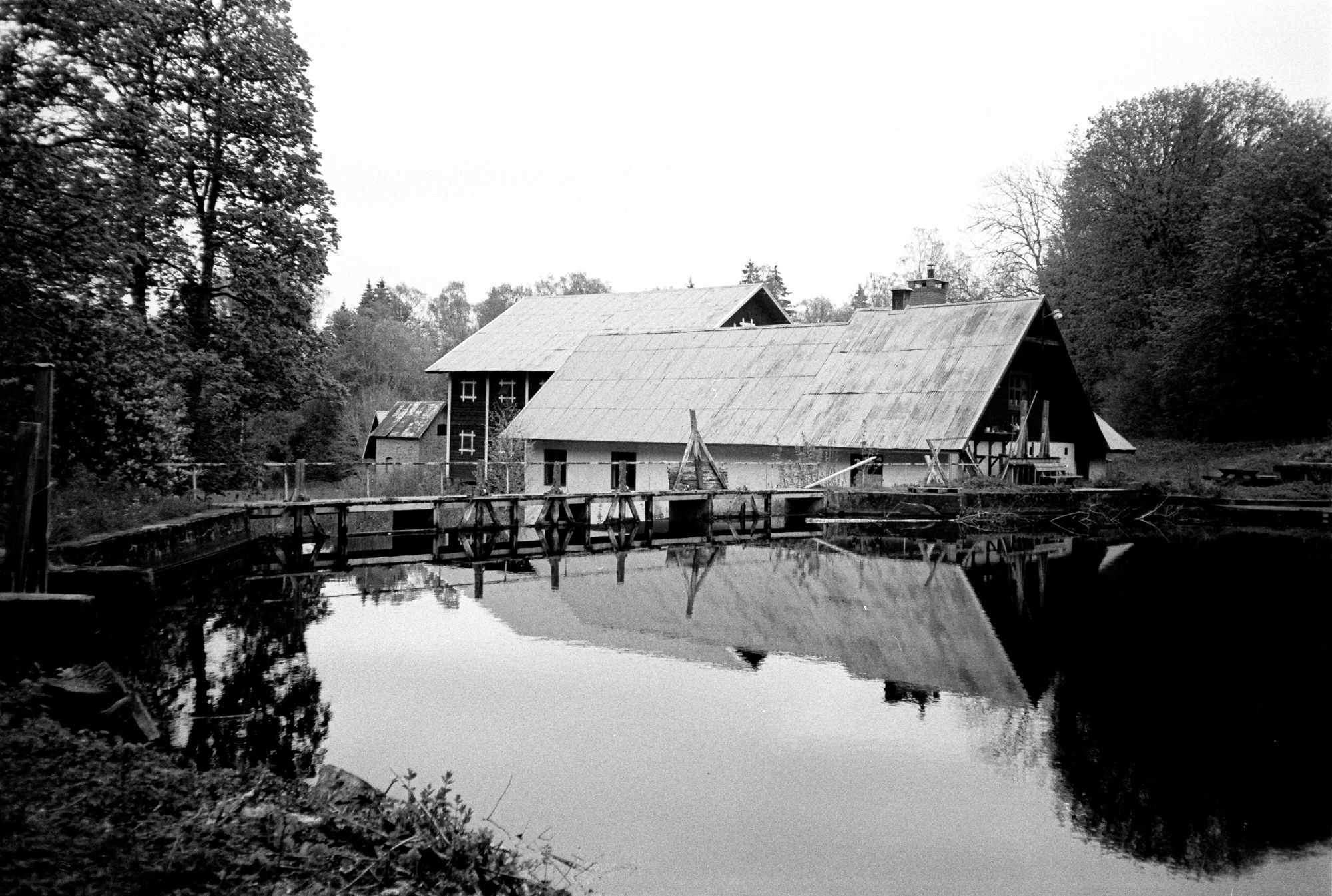 En damm med spegelblank yta.