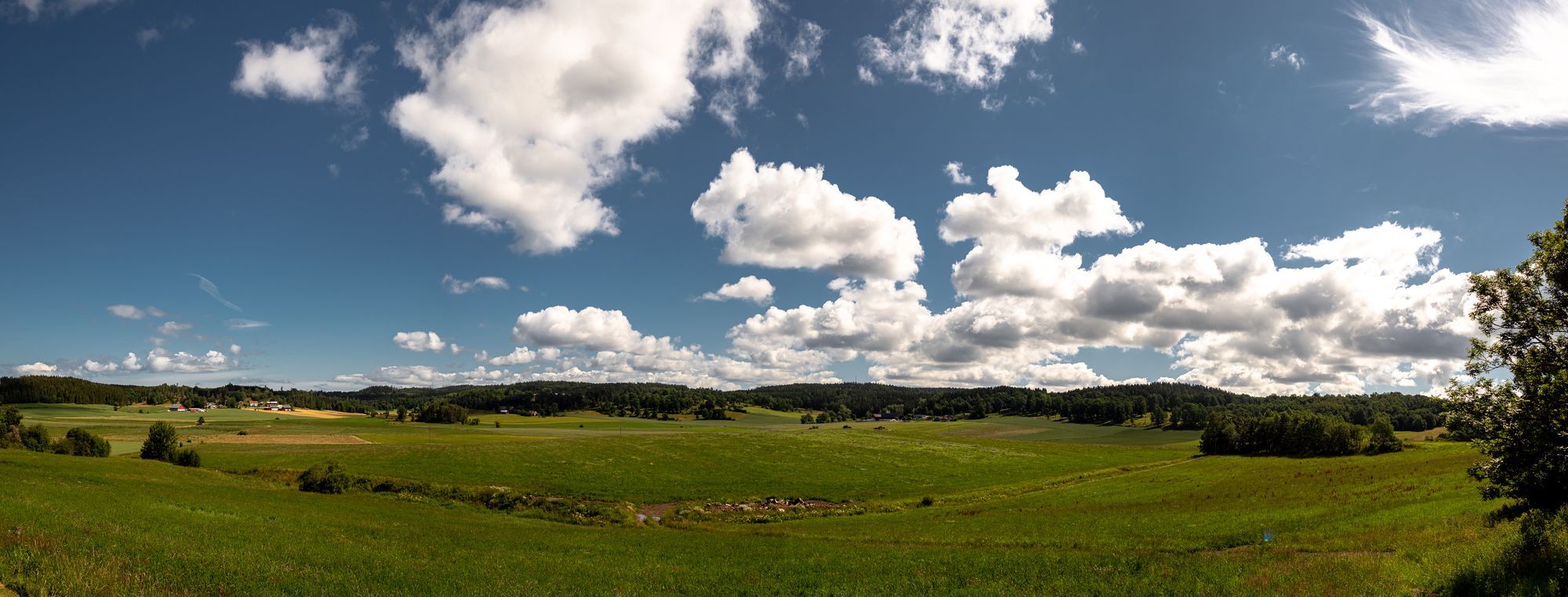 Gröna fält under en blå himmel med några vita moln