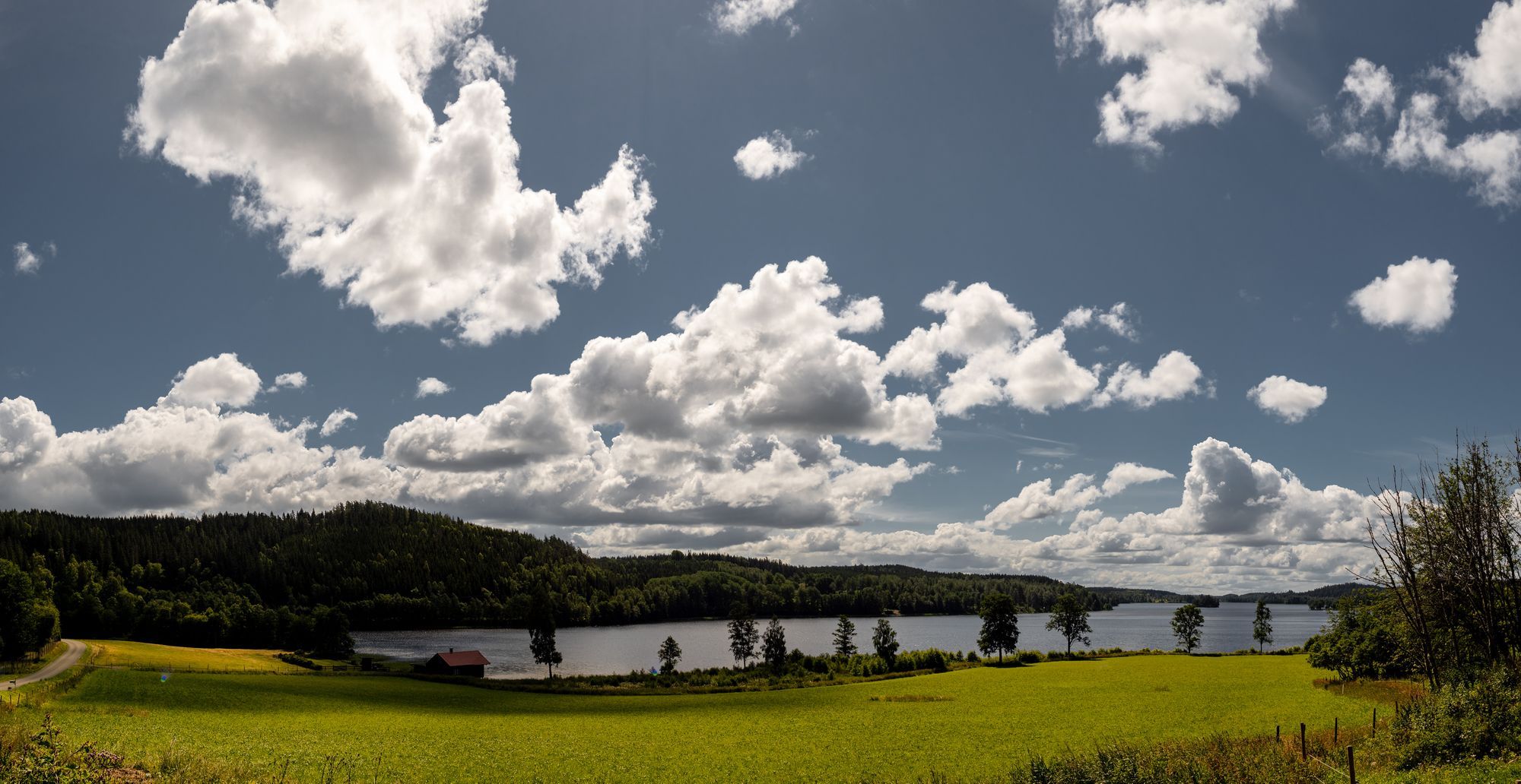 En sjö med ängar på ena sidan och skog på andra under en blå himmel med några spridda vita moln