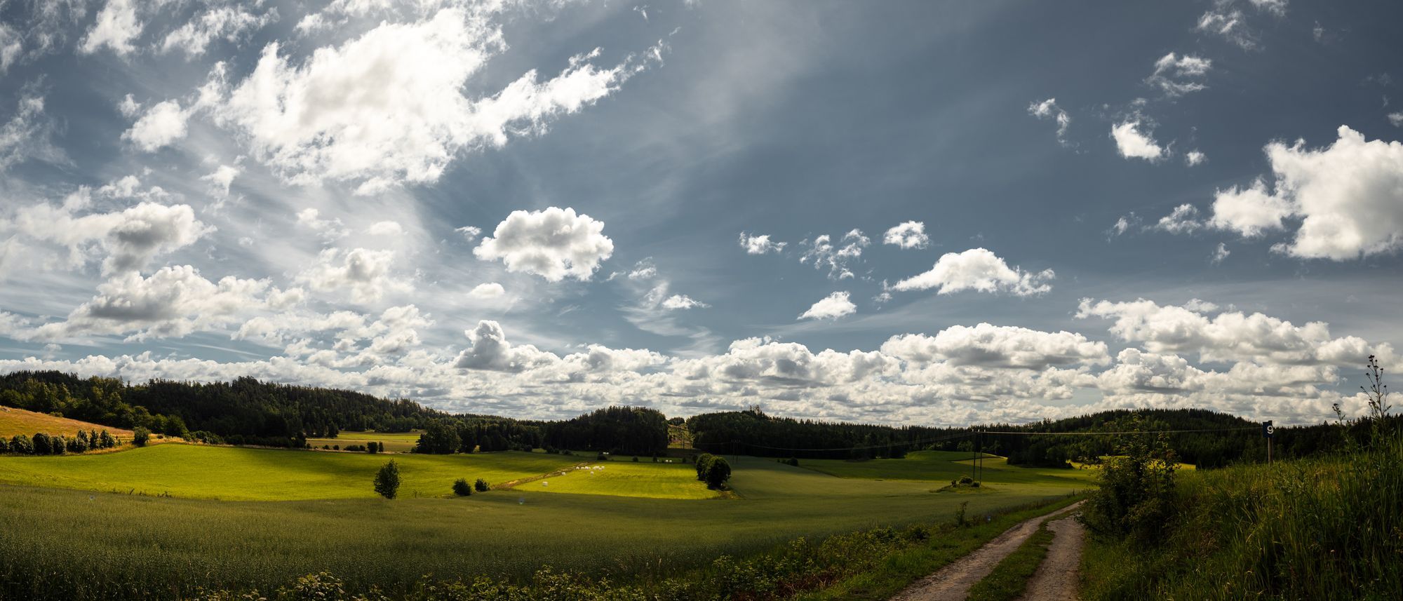 En väg intill ett landskap av ängar med skog som skymtas bortom ängarna. Himlen är väldigt blå.
