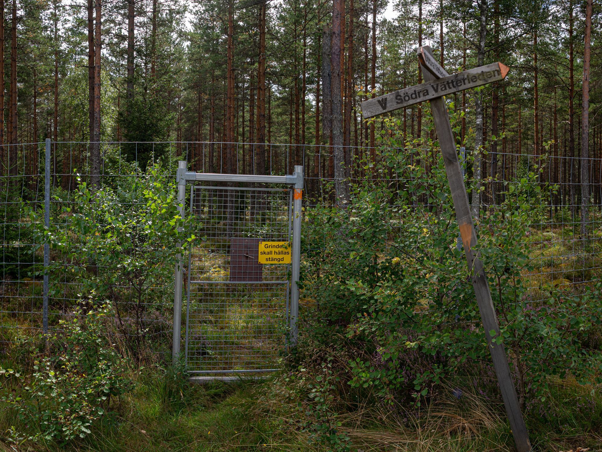 Ett staket med skog bakom, framför staketet står det en skylt med pilar med texten Södra Vätterleden på.