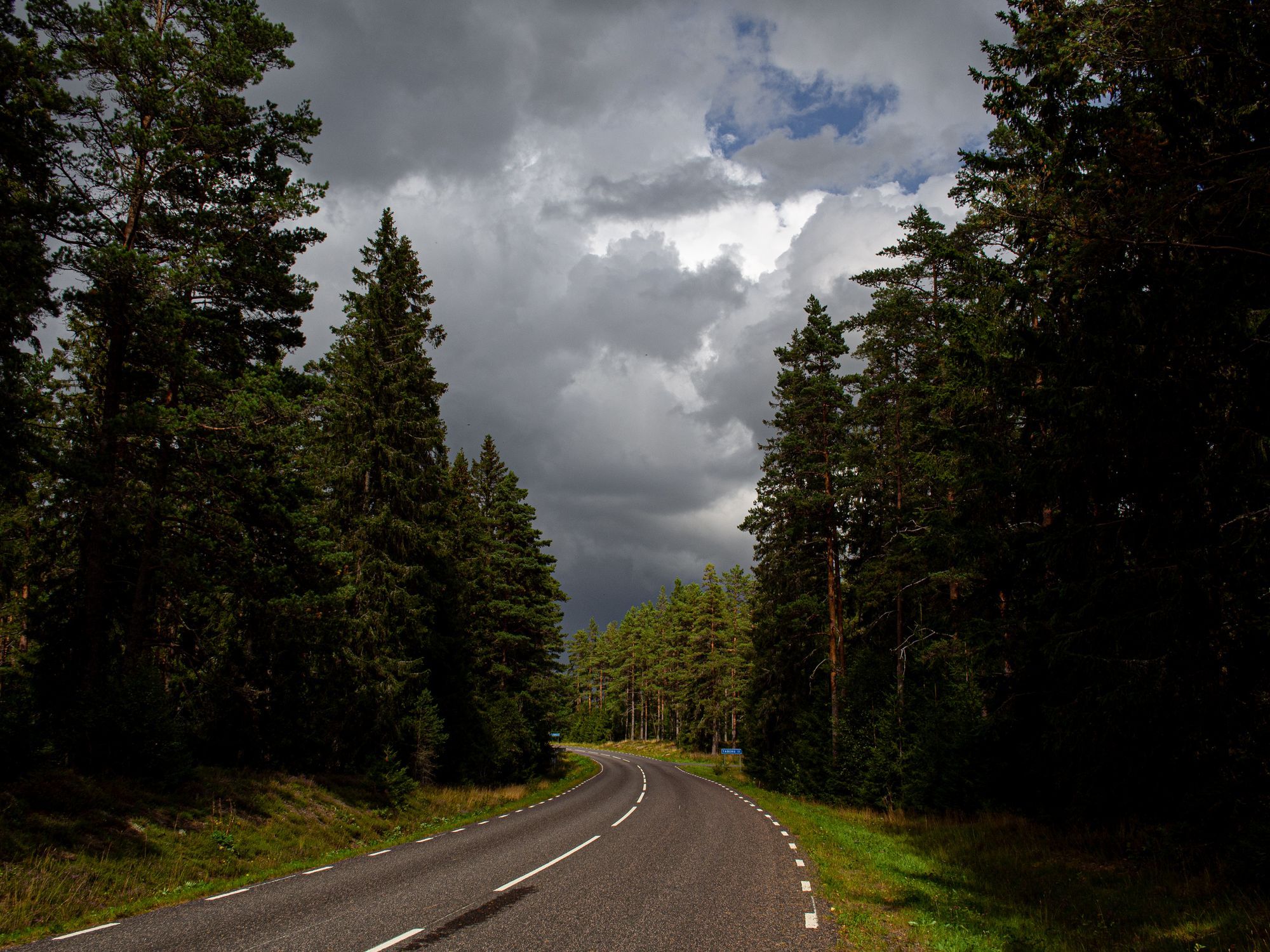 En asfalterad bilväg i en skog.