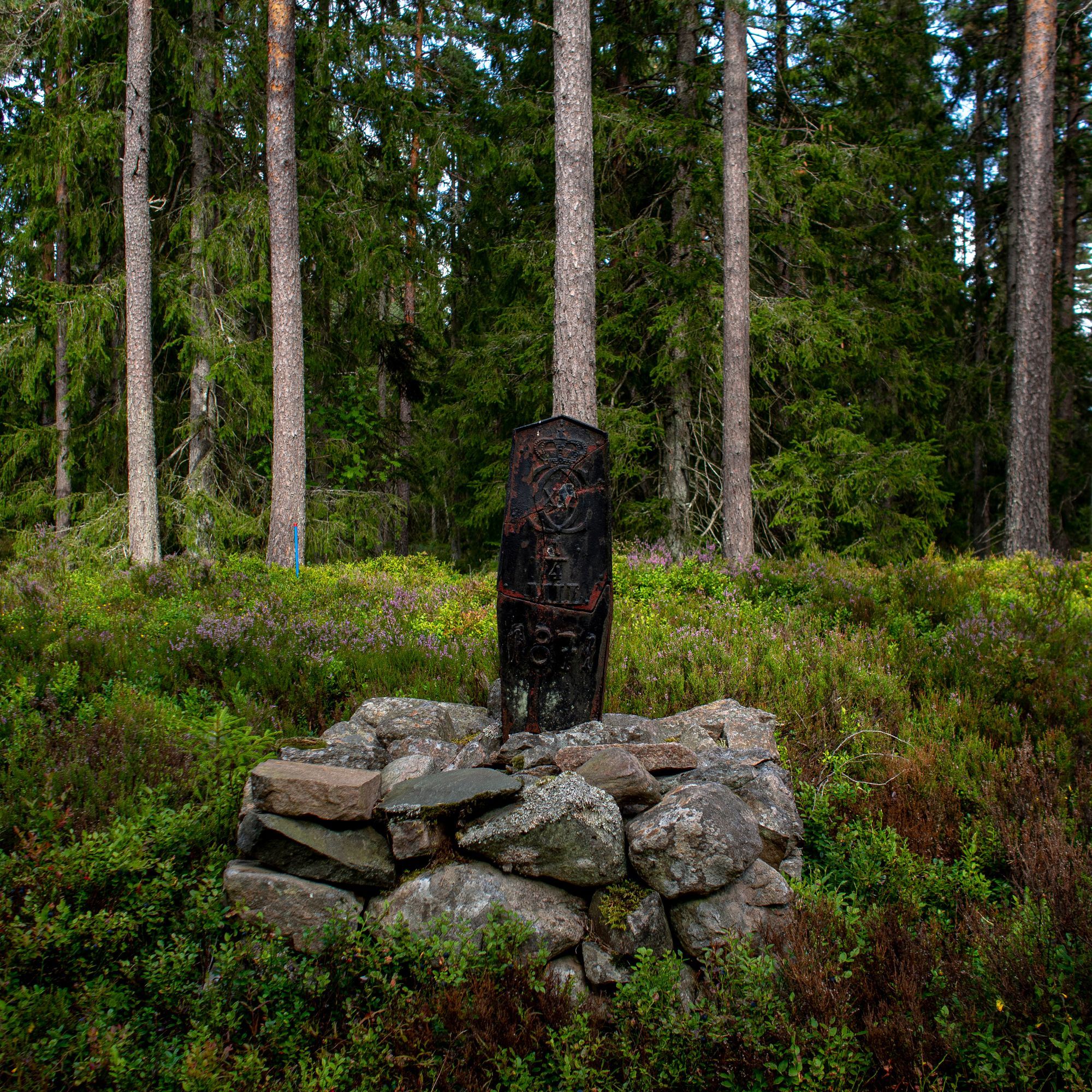 En distansmarkör i form av en gammal sten i en skog.