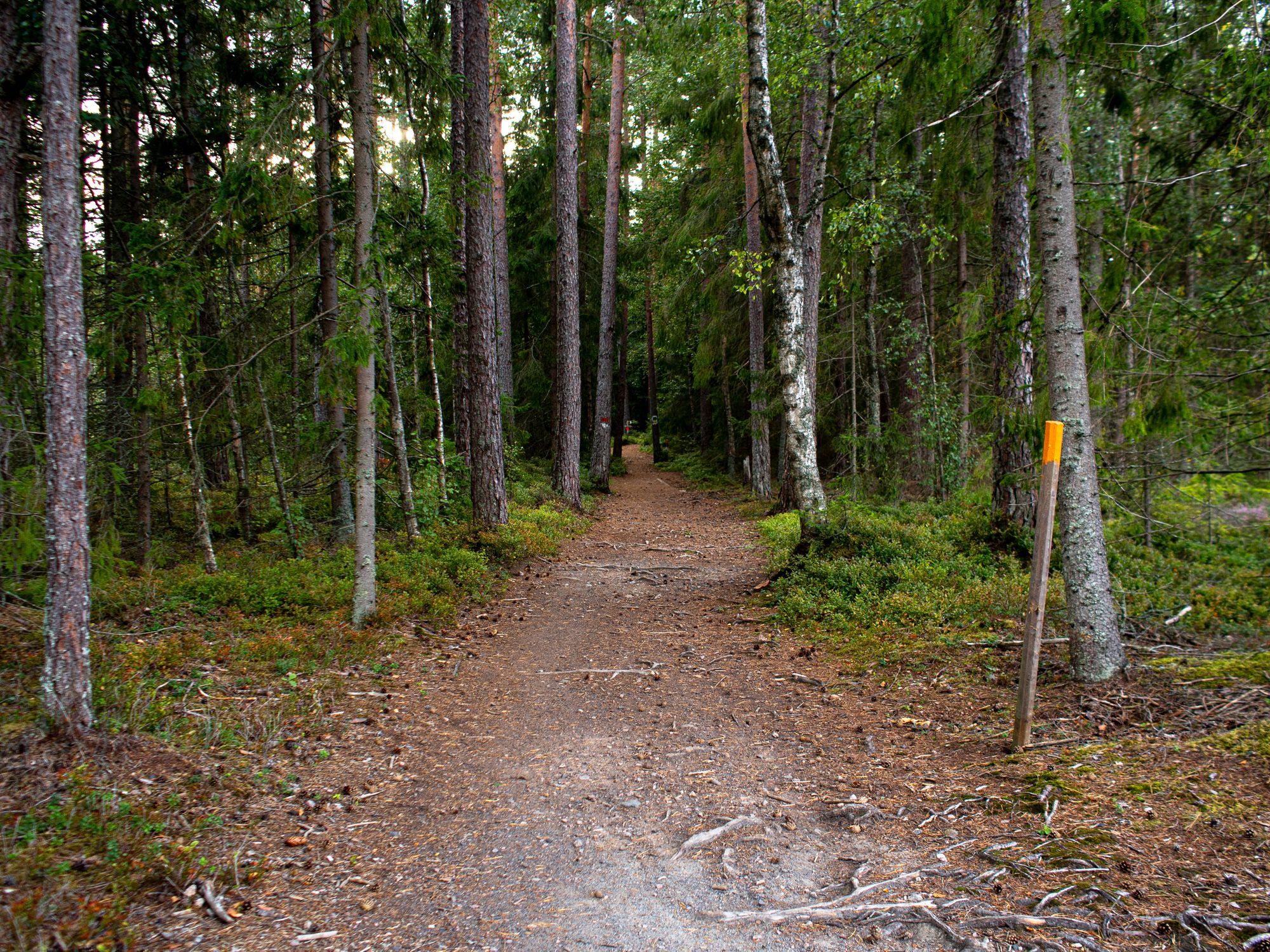 En stig med en orange ledmarkör.