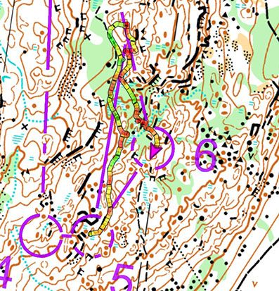 Karta med GPS-visualisering över hur Gustav sprang mellan kontroll 5 och 6.