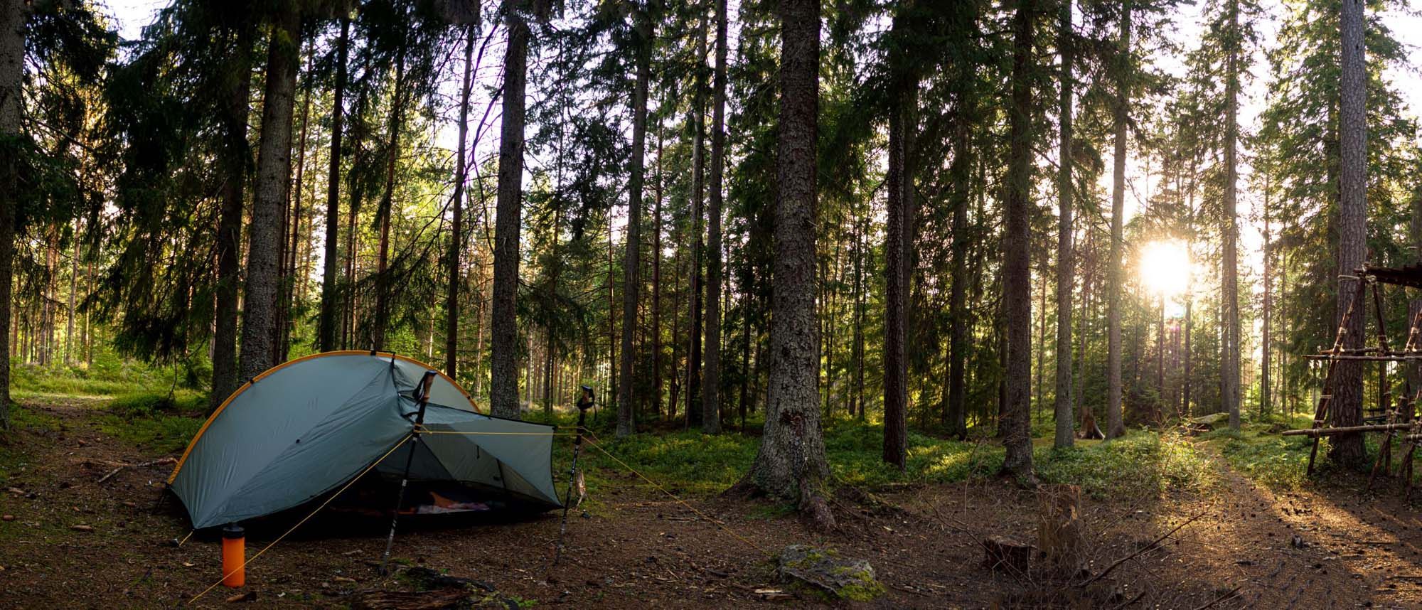 Tältplats i skogen med ett tält och solen som lyser genom träden