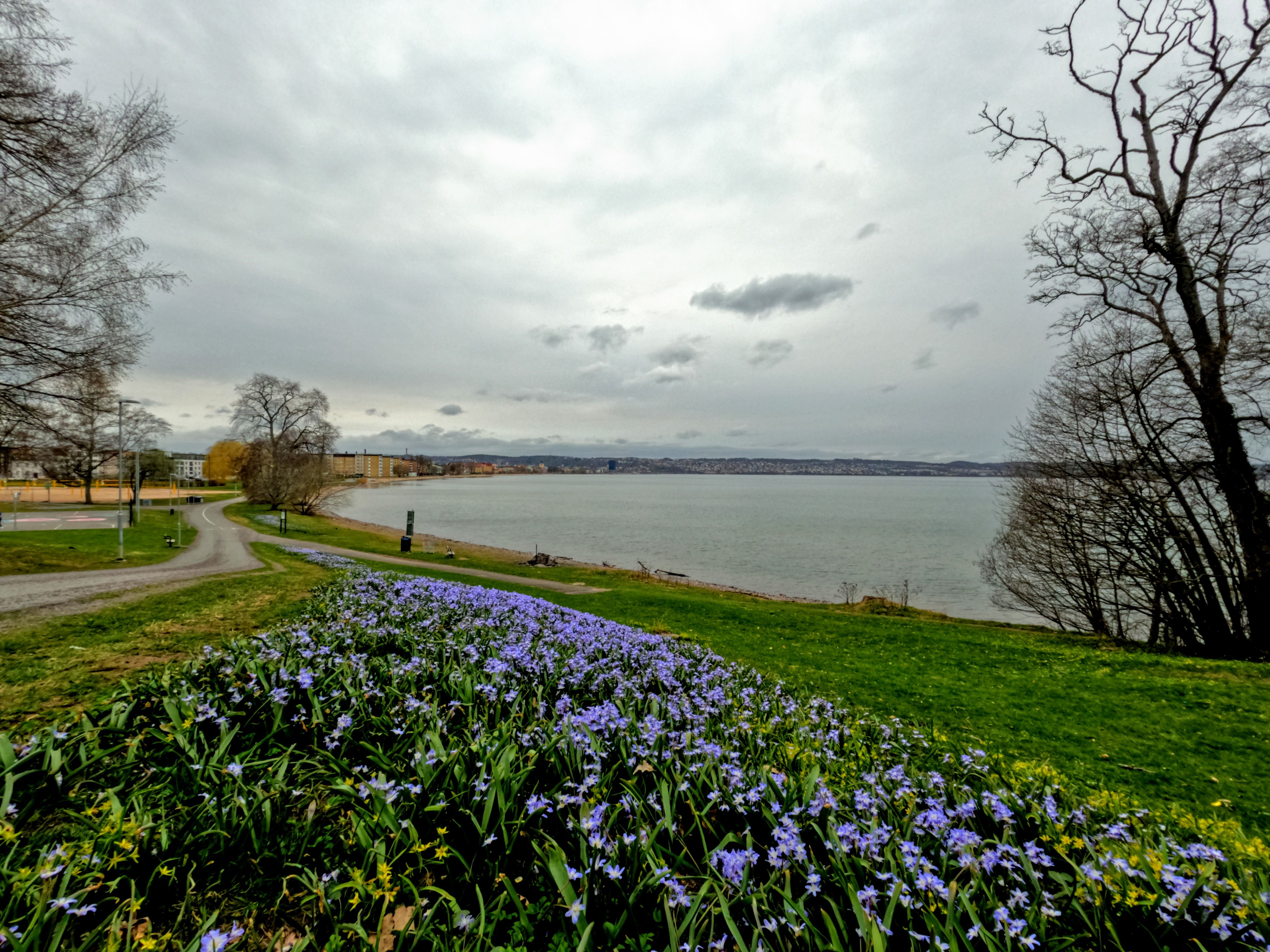 Vätterstranden i Jönköping sett från marken med en stor blomplantering