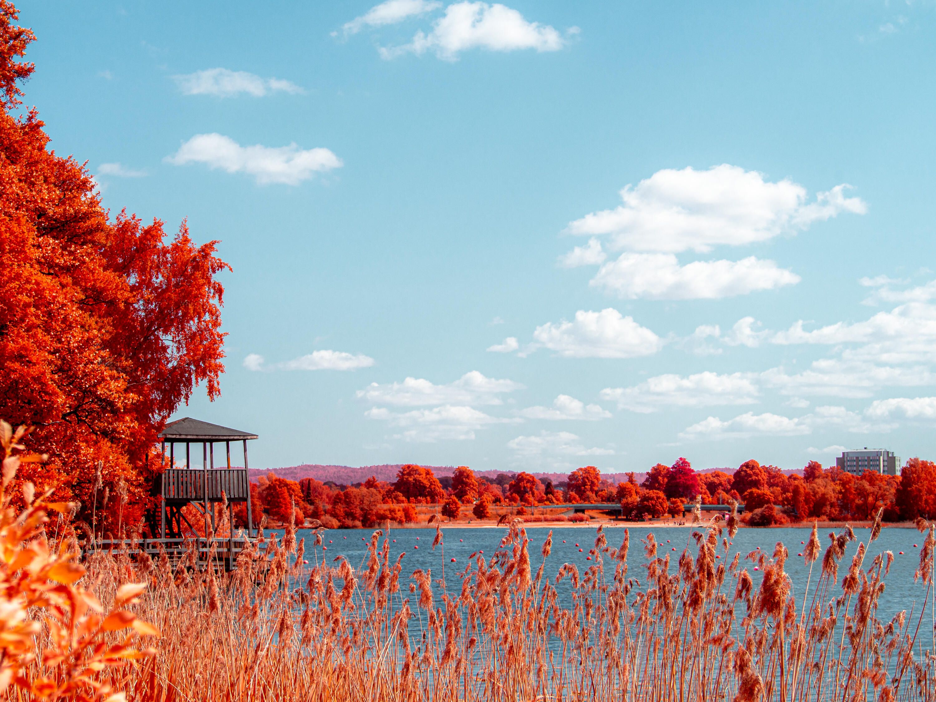 En bild på Rocksjön i Jönköping, till vänster syns ett utsiktstorn. Bilden är tagen med ett filter som gör att träd och buskar lyser intensivt rött medans himmel och vatten fortfarande är blått.