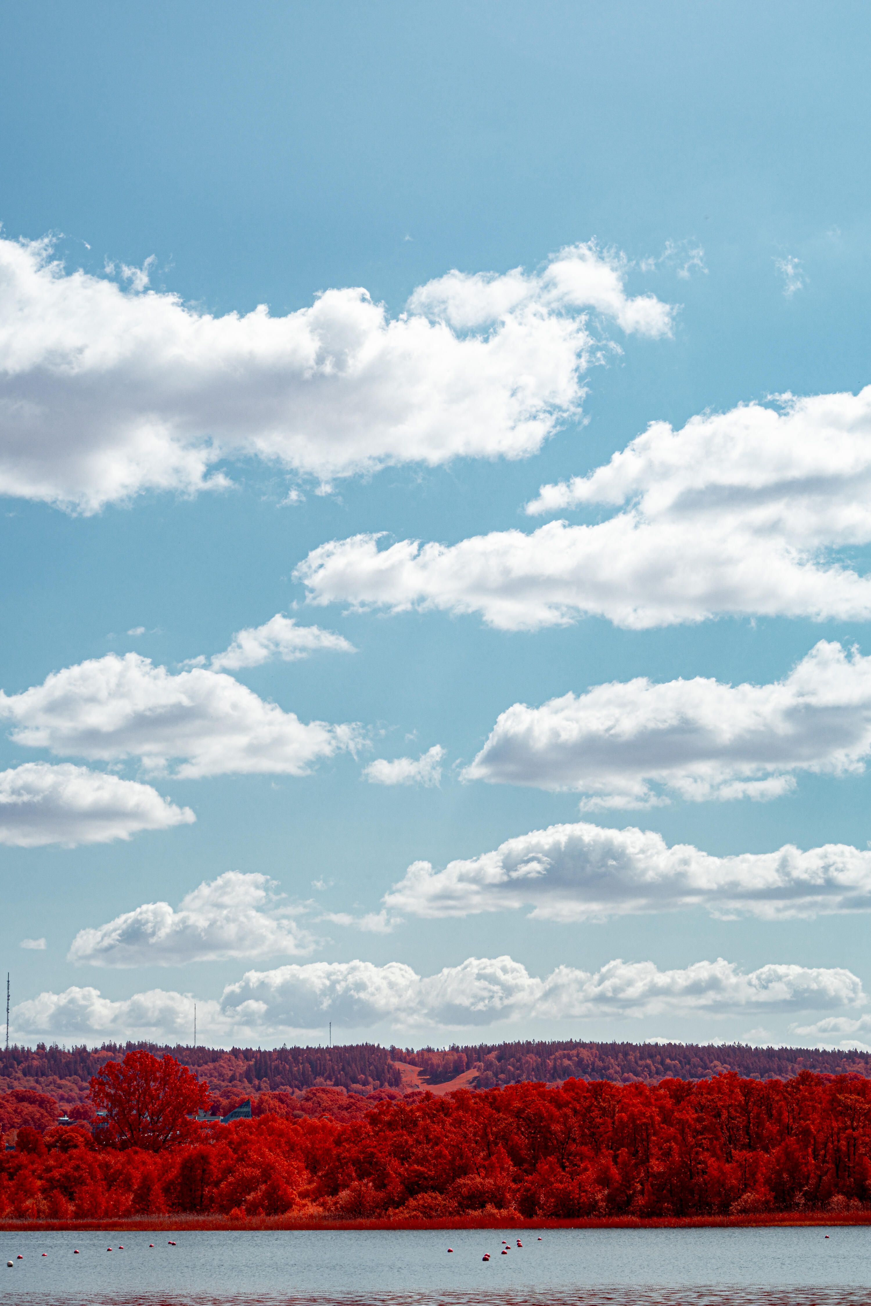 Vertikal bild med Rocksjön i förgrunden och skog bakom. Vid horisonten syns Bondberget under en blå himmel med några moln. Bilden är tagen med ett filter som gör att träd och buskar lyser intensivt rött medans himmel och vatten fortfarande är blått.