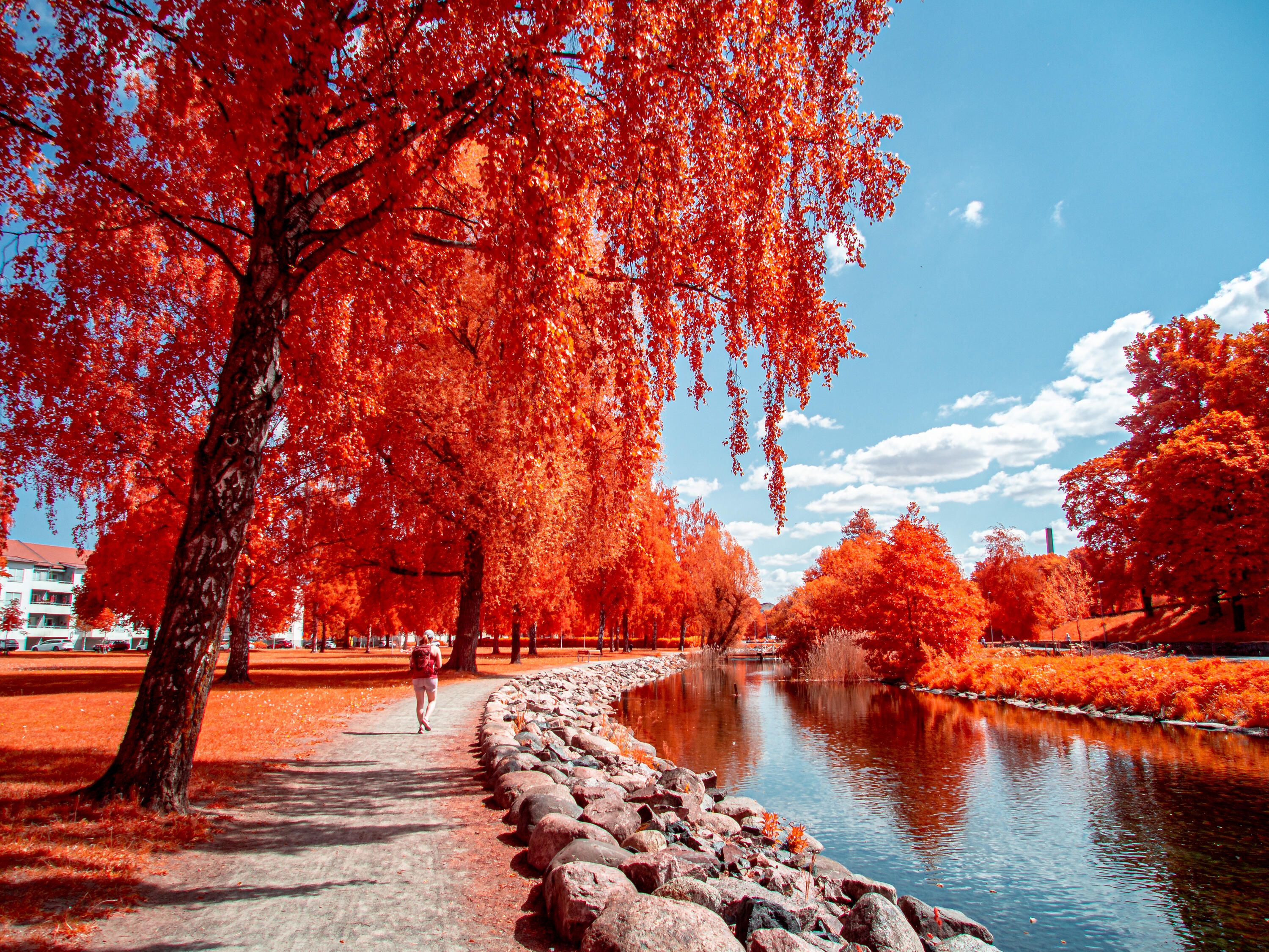 Ån i Liljeholmsparken med en stig bredvid. En bit in i bilden syns en person på stigen mellan två träd. Bilden är tagen med ett filter som gör att träd och buskar lyser intensivt rött medans himmel och vatten fortfarande är blått.
