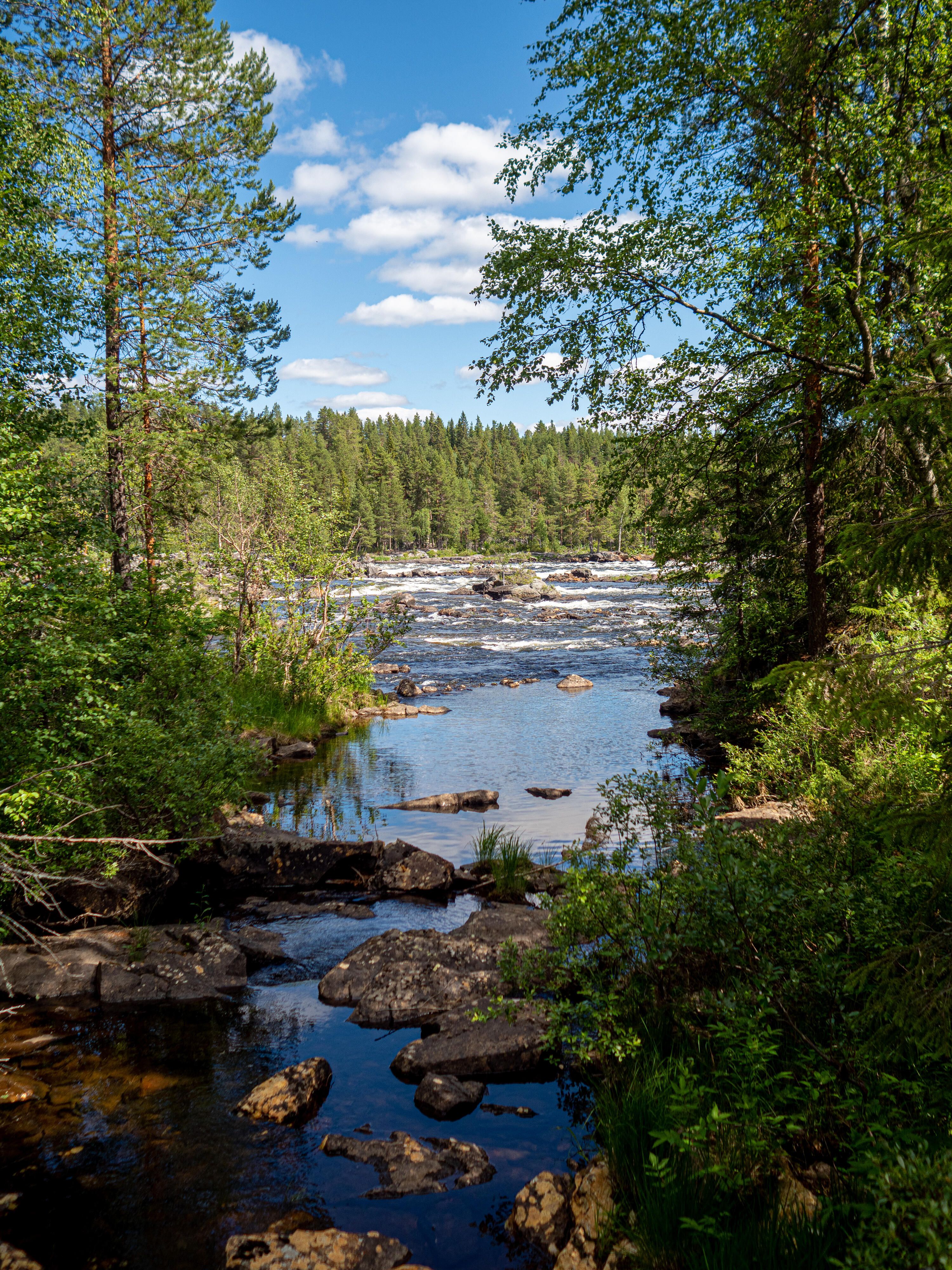 En liten bäck som mynnar ut i en fors längre bort