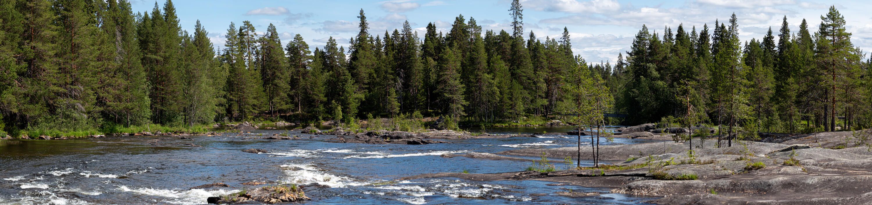 En bild över en lugn del av Mårdselforsen
