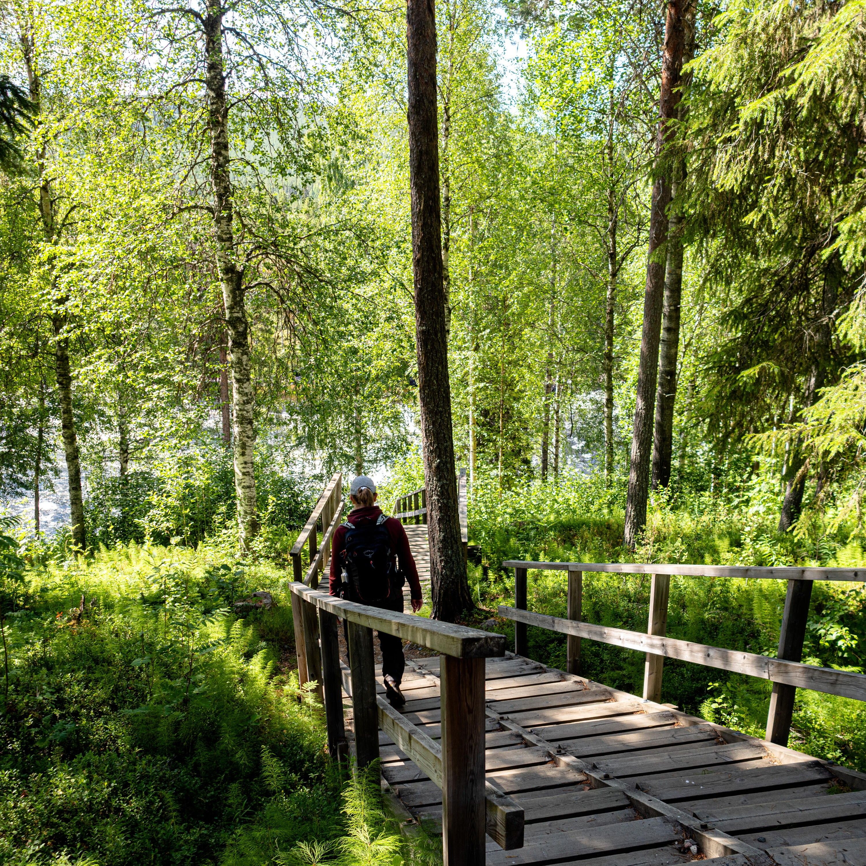 En person som går nedför en trappa i skogen