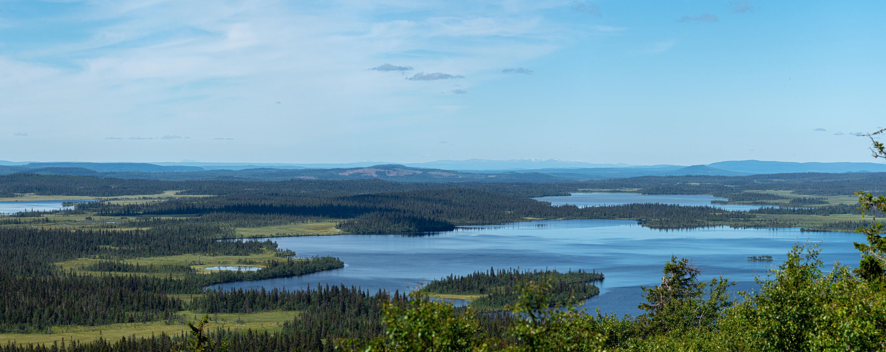 Utsikt från Alsberget västerut. Längst bort i bilden går det att se några snätäckta berg som ligger längs Norska gränsen. Lite närmre syns flera skogsklädda bergstoppar och allra närmst syns en stor sjö.