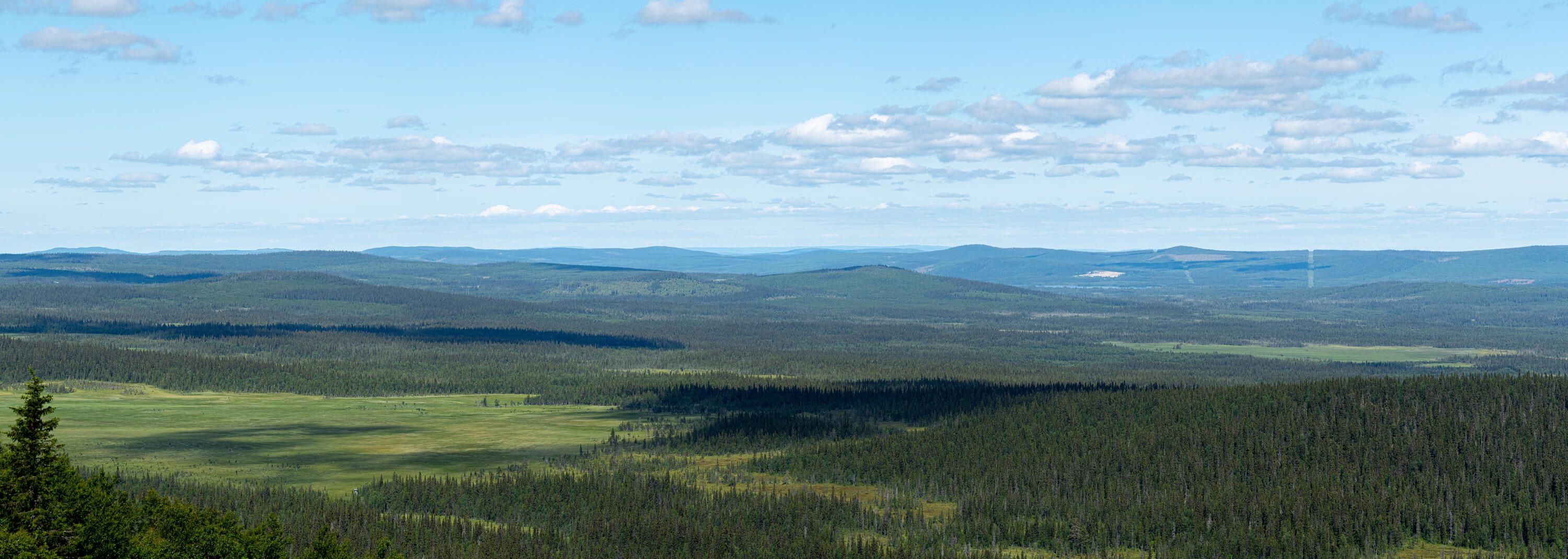 Utsikt norrut från Alsberget över ett landskap bestående av myrar och skogar. Några få moln kastar stora skuggor på marken