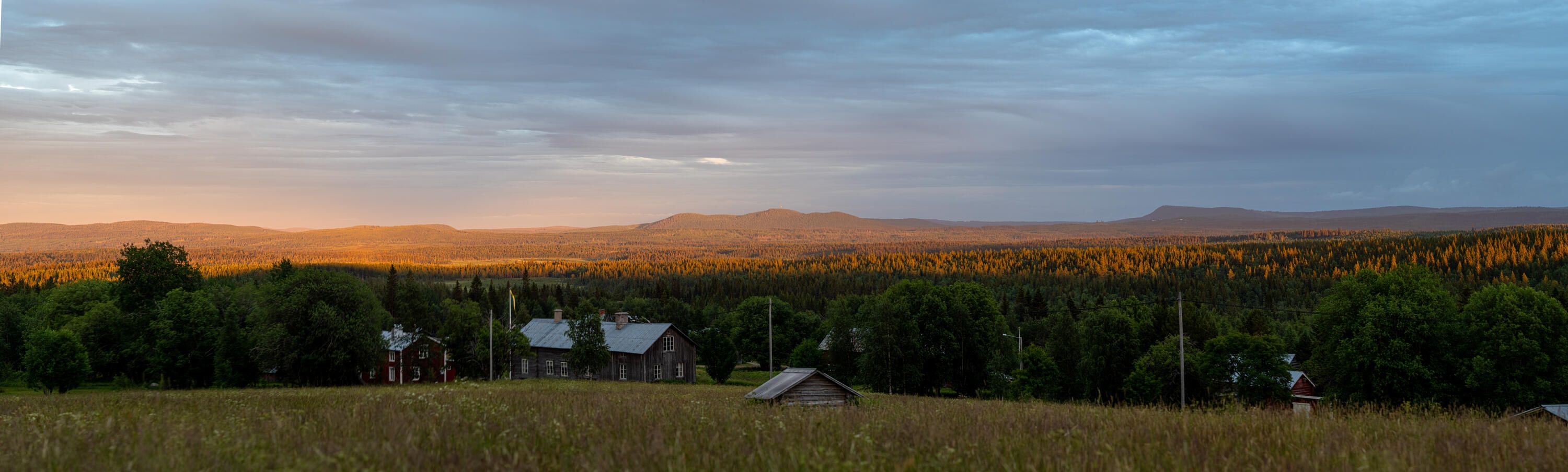 Ett skogslandskap som träffas av dagens sista strålar som lyser upp allt i intensivt guld och det som inte träffas är i blå skugga