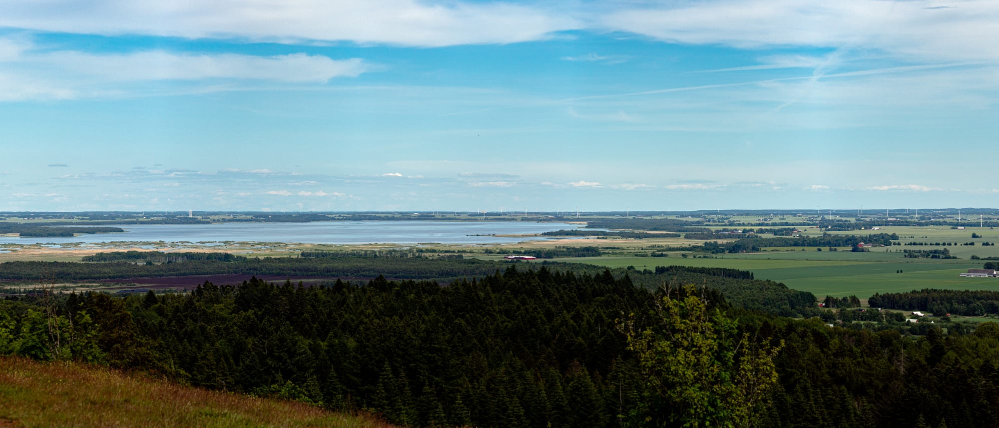 Utsikt över ett landskap med skog, ängar och en stor sjö i bakgrunden. Flera vindkraftverk syns bortom sjön