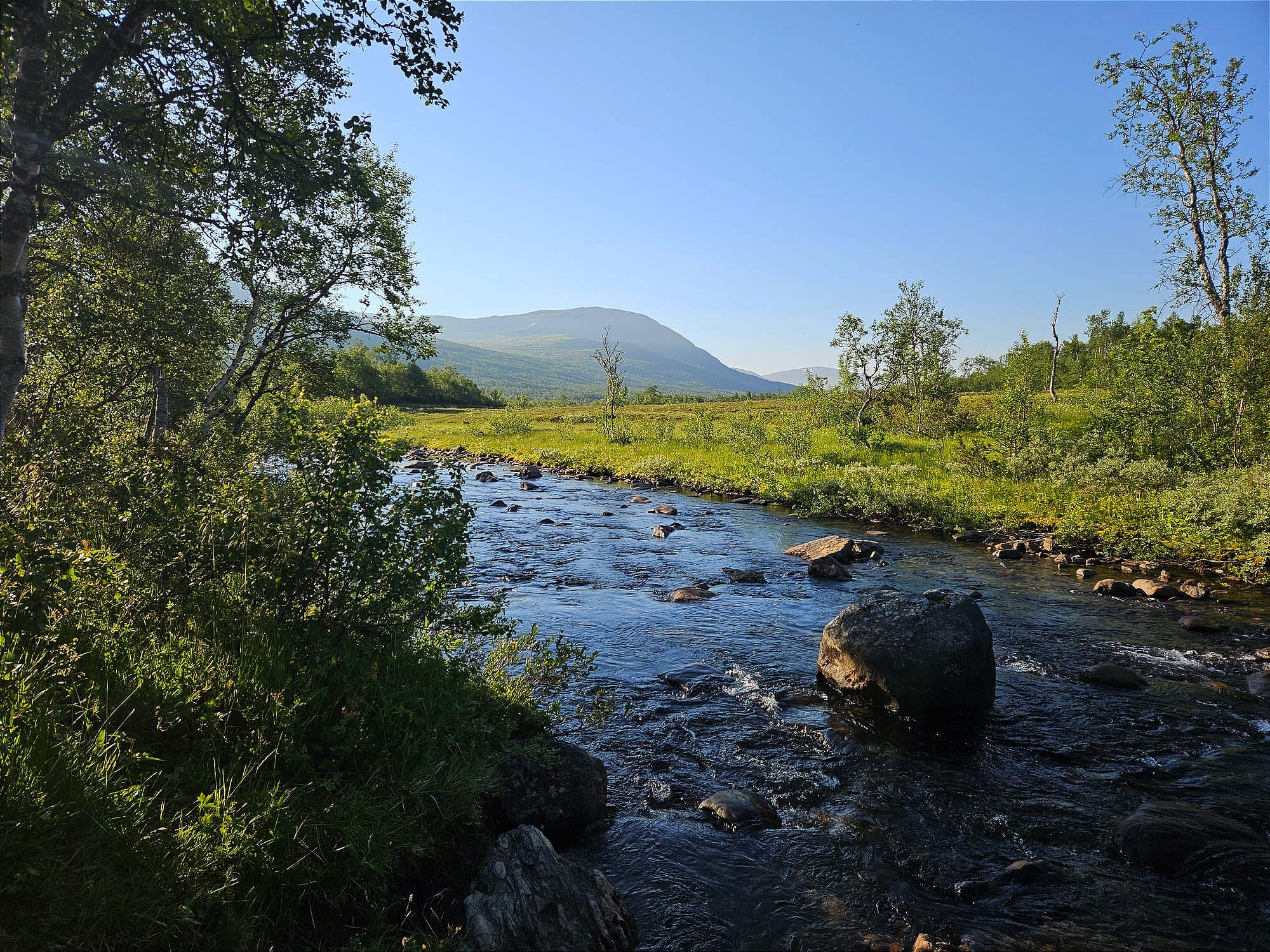En stilla bäck med stenar i ett fjällandskap av björkar och blåbärsris. I bakgrunden syns kalfjäll.