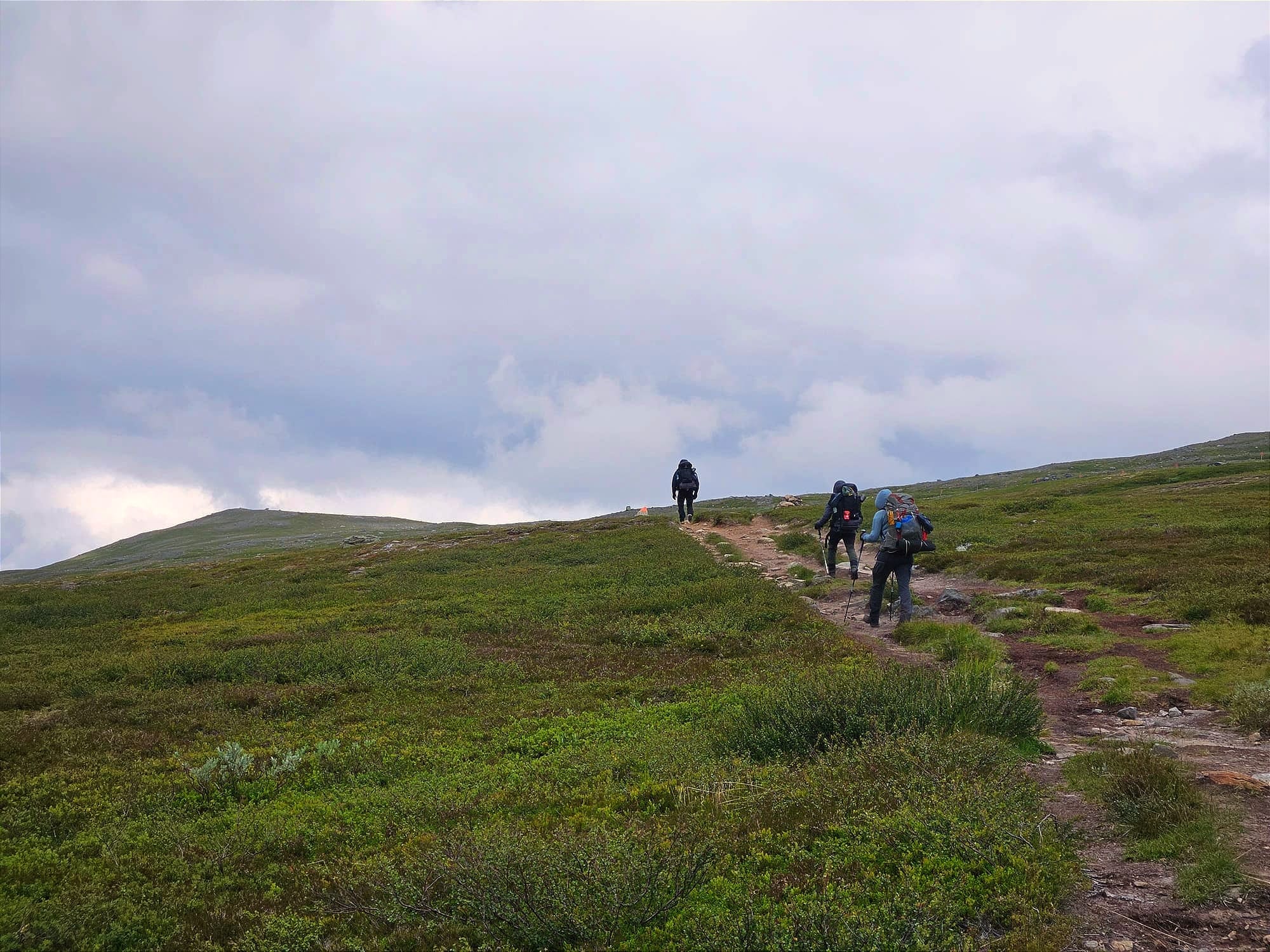Tre personer som går på en stig uppför en backe på ett grönt kalfjäll. Himlen är molnig