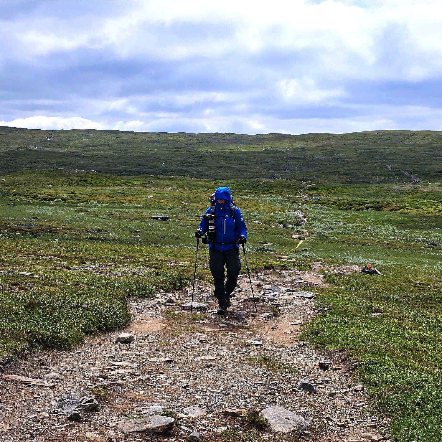 En person som vandrar på en stig med nästan heltäckande kläder, bara en liten del av ansiktet syns. Personen har en kamera som hänger på framsidan av en ryggsäck