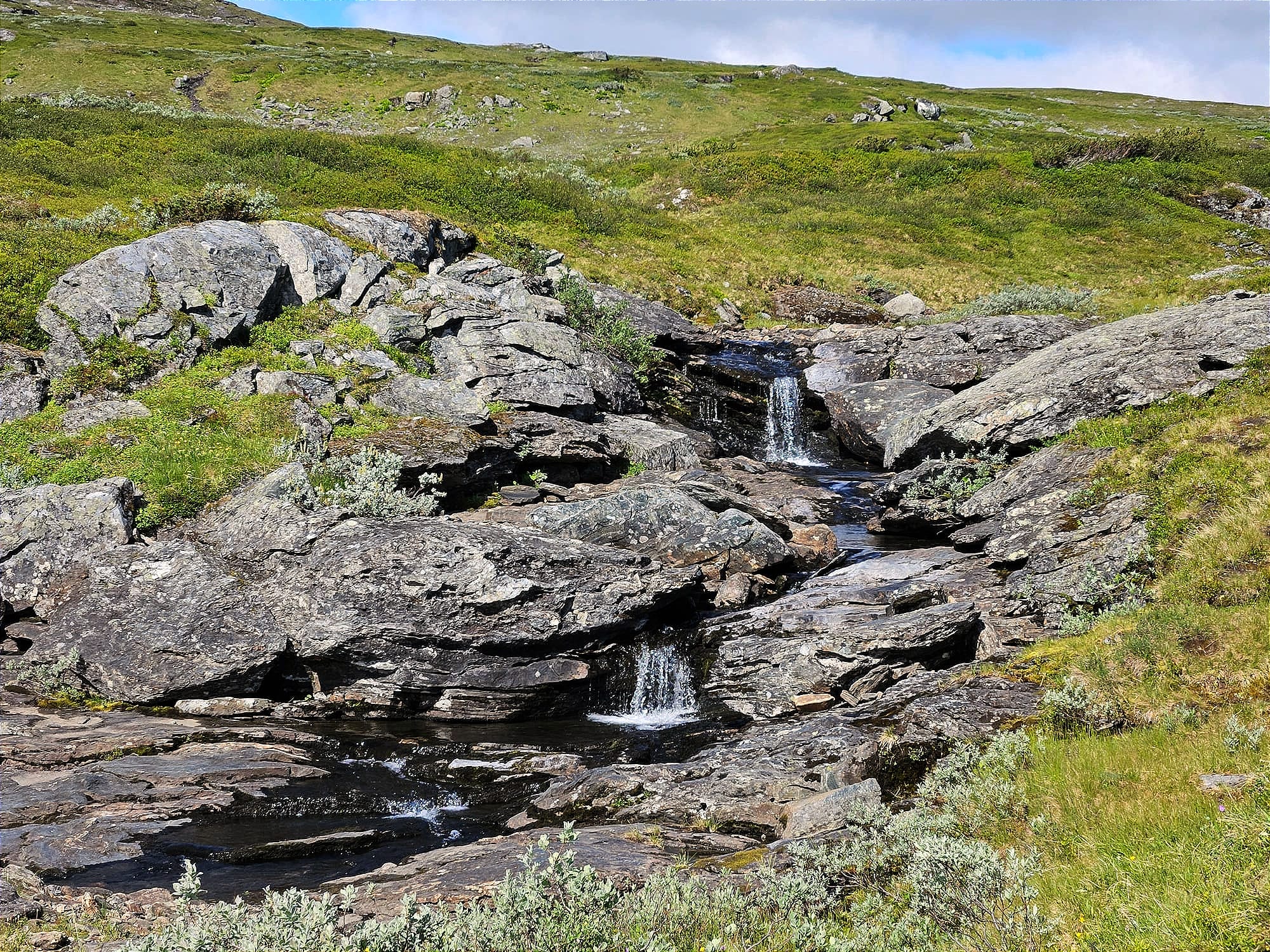 2 vattenfall på en stenig bäck. Runt vattenfallen växer gröna låga väster.