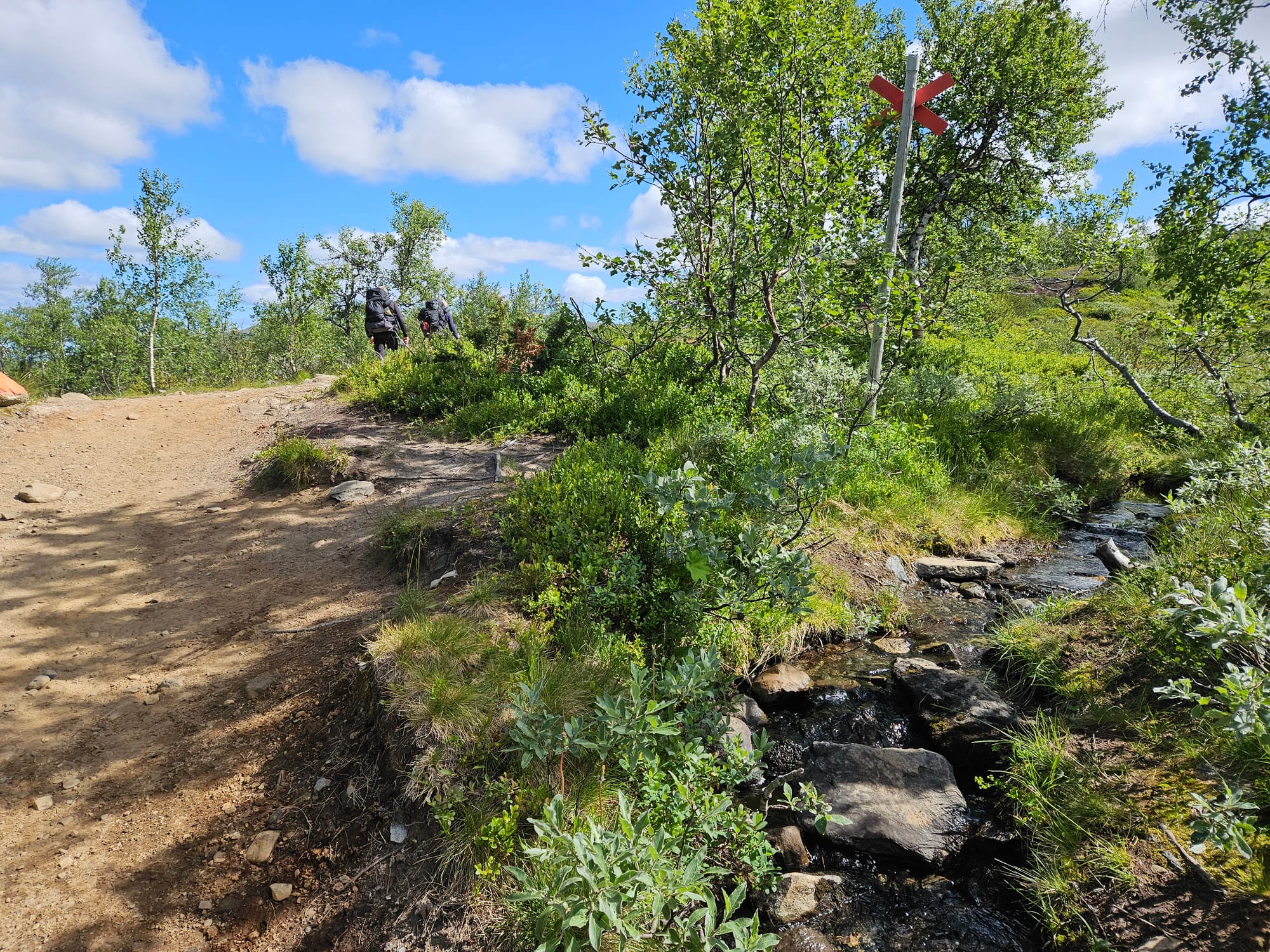 En bäck och en stig som korsar varandra. Några personer har precis gått förbi korsningen med vattendraget och syns knappt runt ett hörn på stigen. Bredvid stigen och bäcken växer fjällbjörkar och andra lite högre buskar.