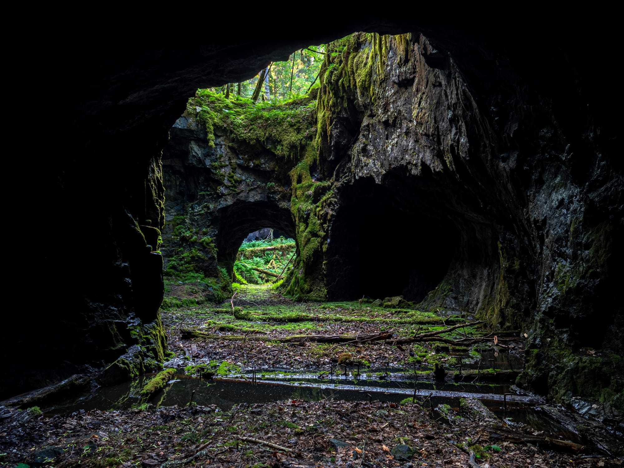 Vi inifrån en mossbeklädd grotta med två välvda öppningar, där skogens grönska syns utanför och det ligger nedfallna grenar på marken.