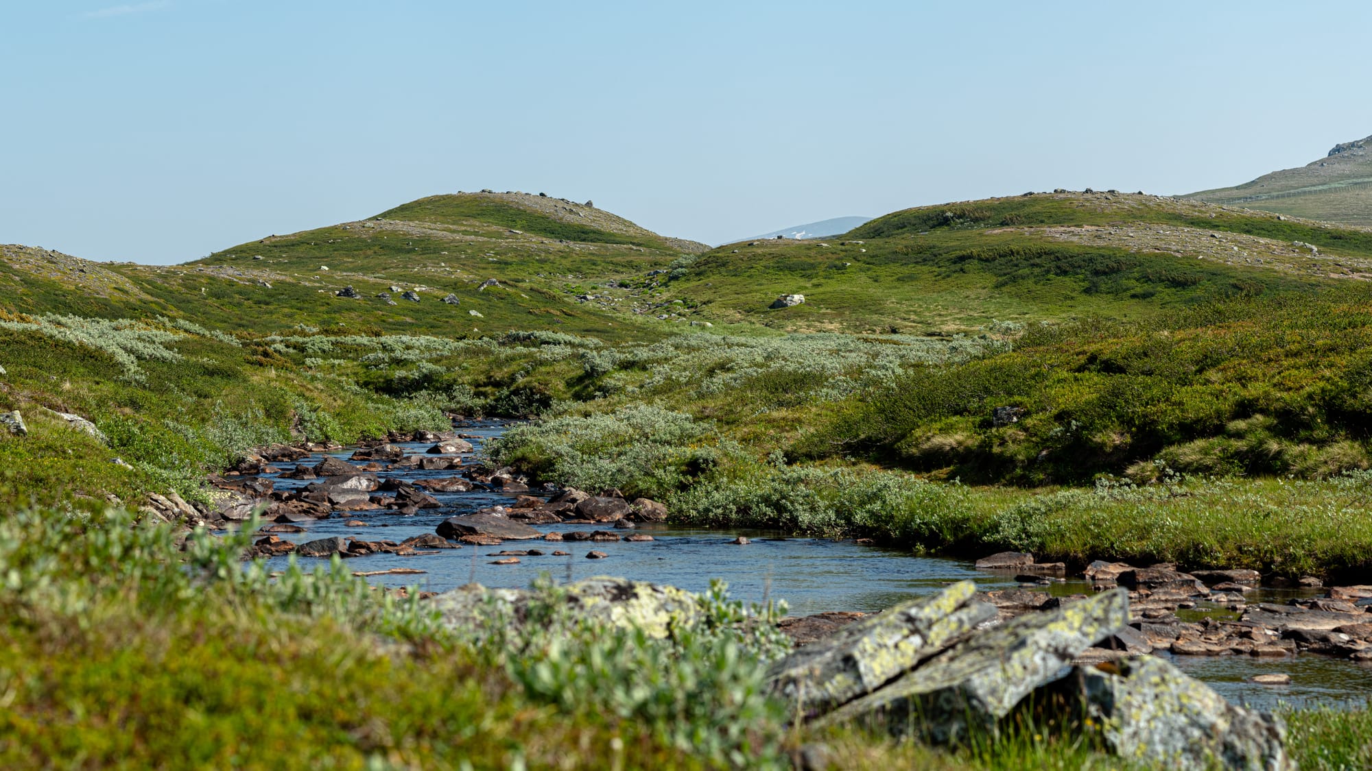 En stenig bäck bland en massa kullar