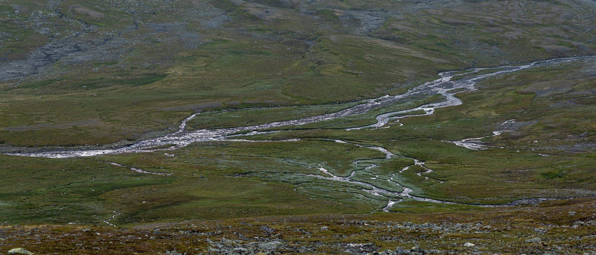 Ett massa bäckar som alla leder ner till en större å sett uppifrån