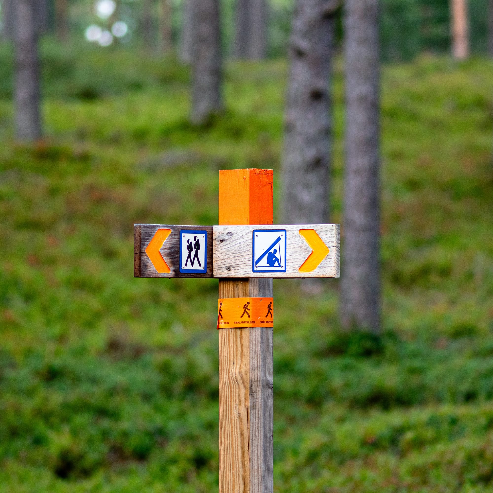 En ledskylt med orange markeringar. Till vänster är det en pil med symbol för vandringsled, till höger en pil med symbol för vindskydd