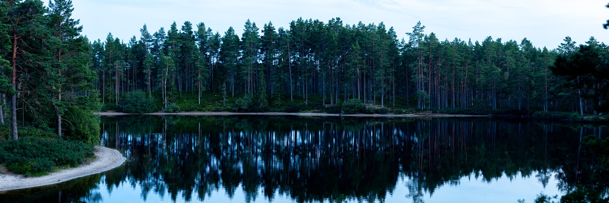 En spegelblank sjö i skogen efter solnedgången med en ljust blå himmel. Träden och himlen på andra sidan reflekteras i vattnet.