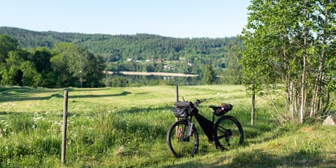En cykel som står lutad mot ett staket med en äng med en helt spegelblank sjö i bakgrunden. I sjön speglas en skogsklädd höjd.